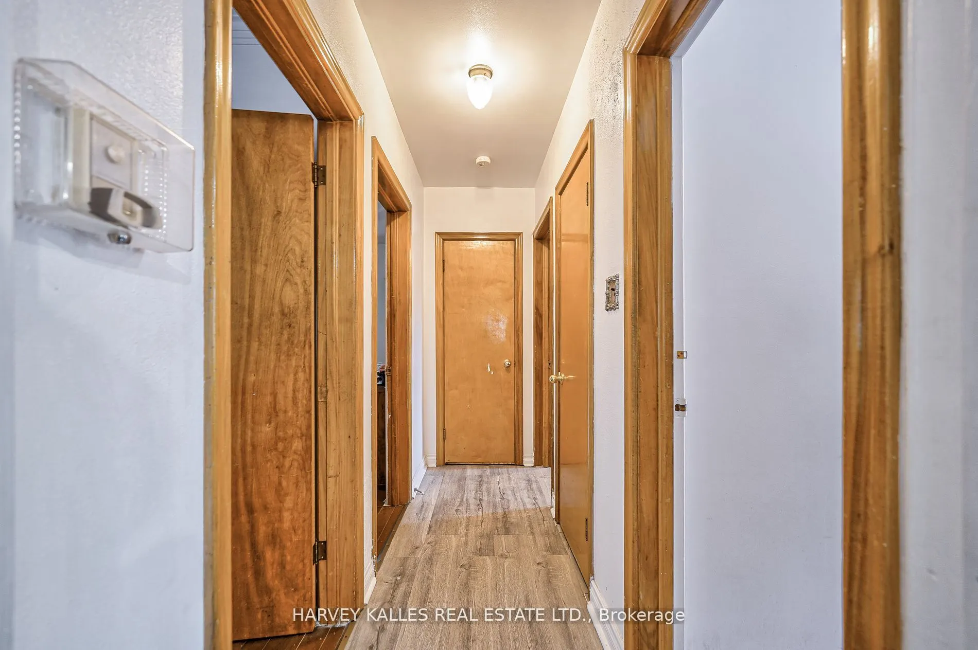 40 Dominion Road