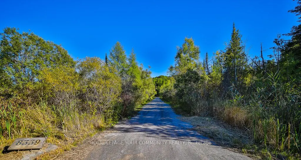 8339 Finnerty Side Road