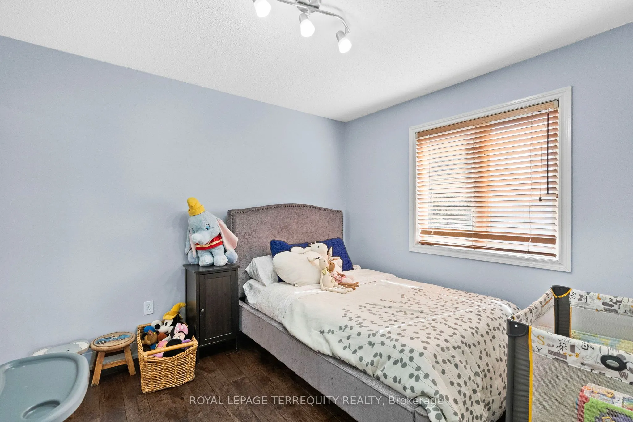 118 Van Scott Drive