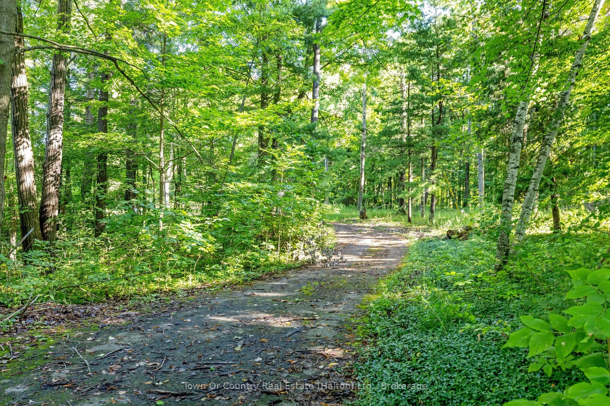 2380 Conservation Road