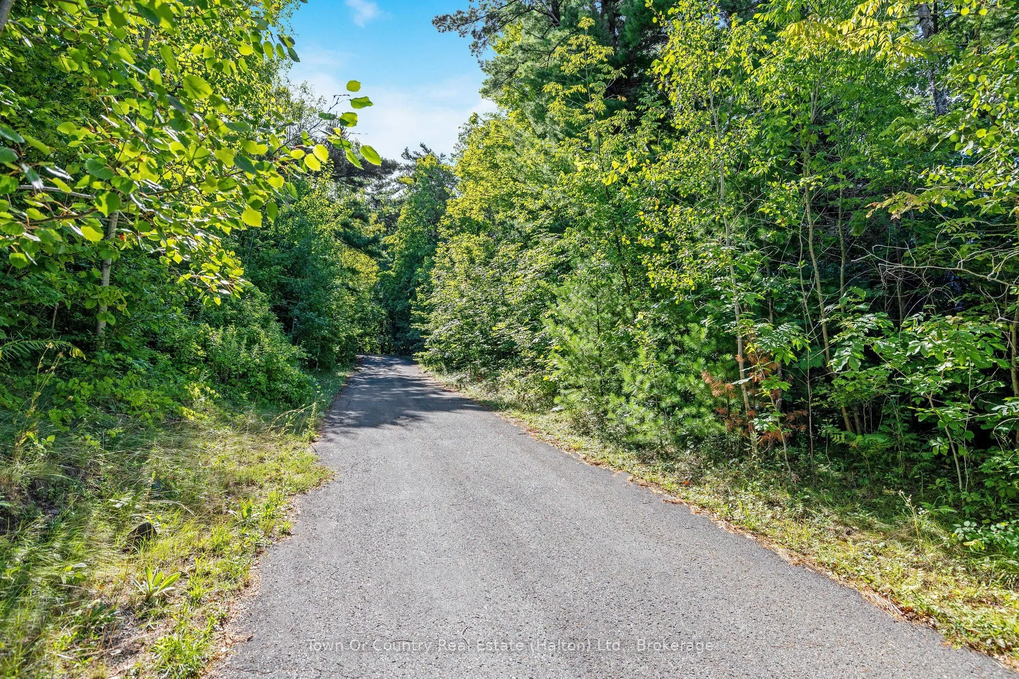 2380 Conservation Road