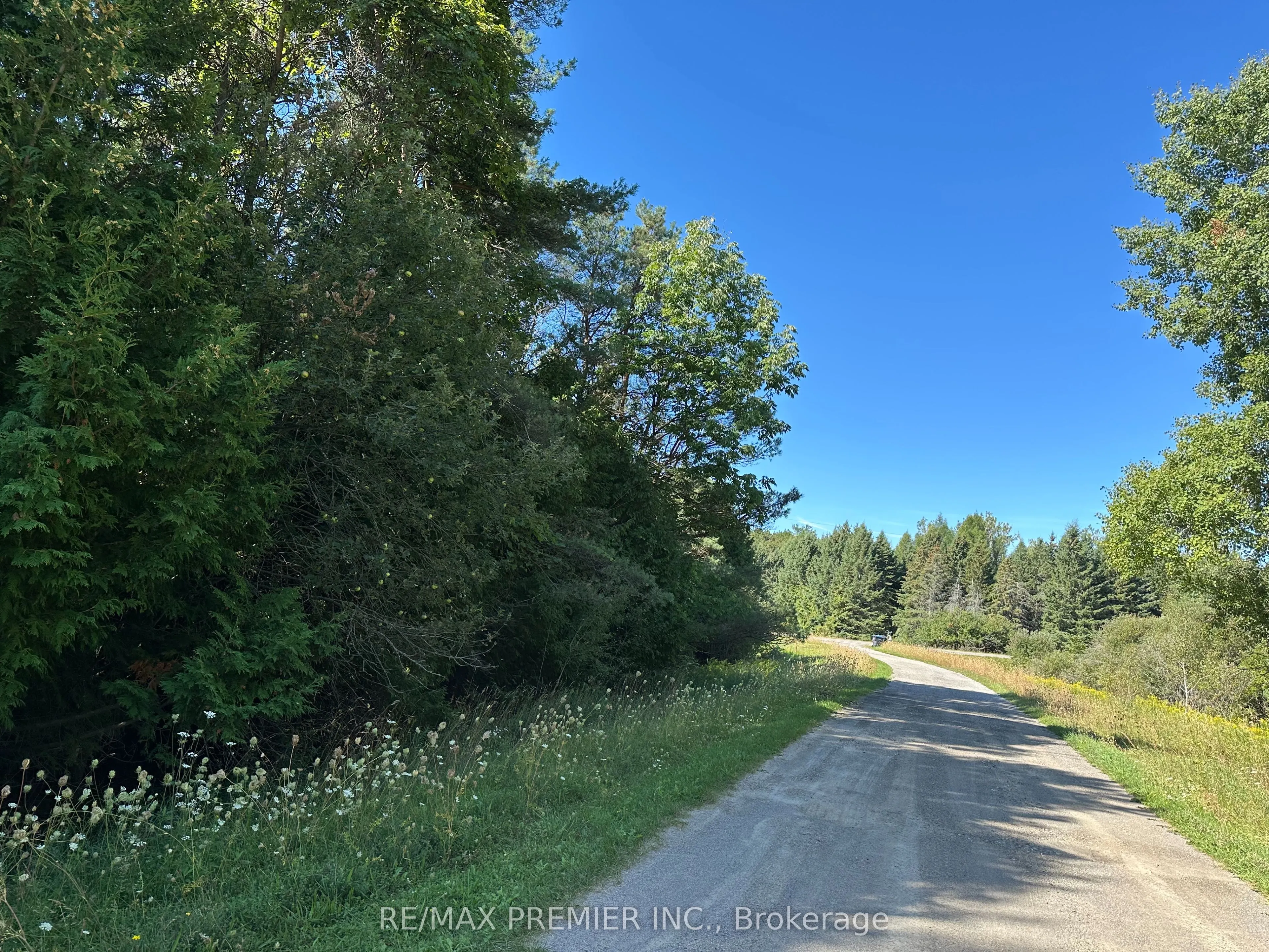 18355 The Gore Road