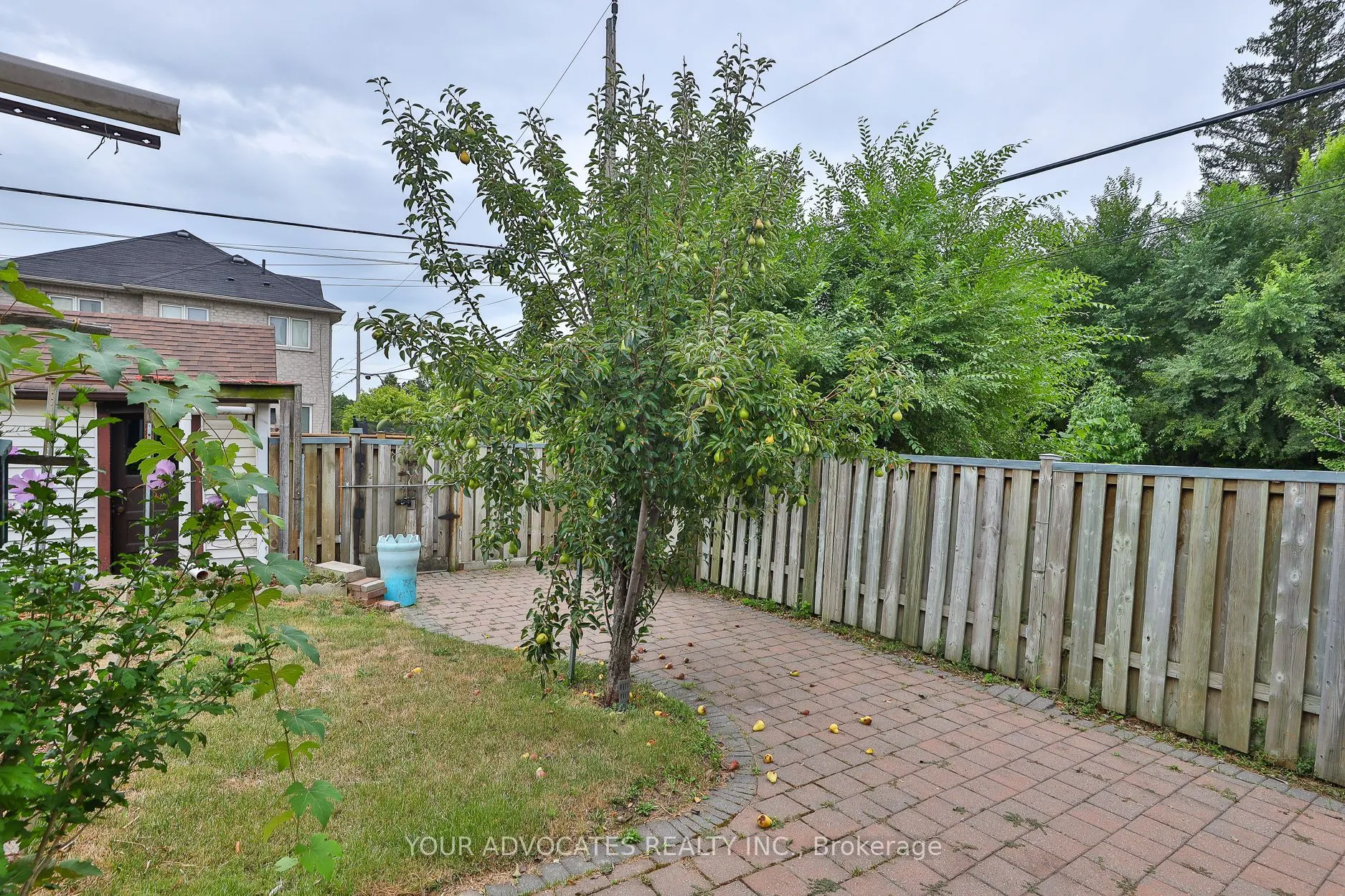 35 Beckett Avenue