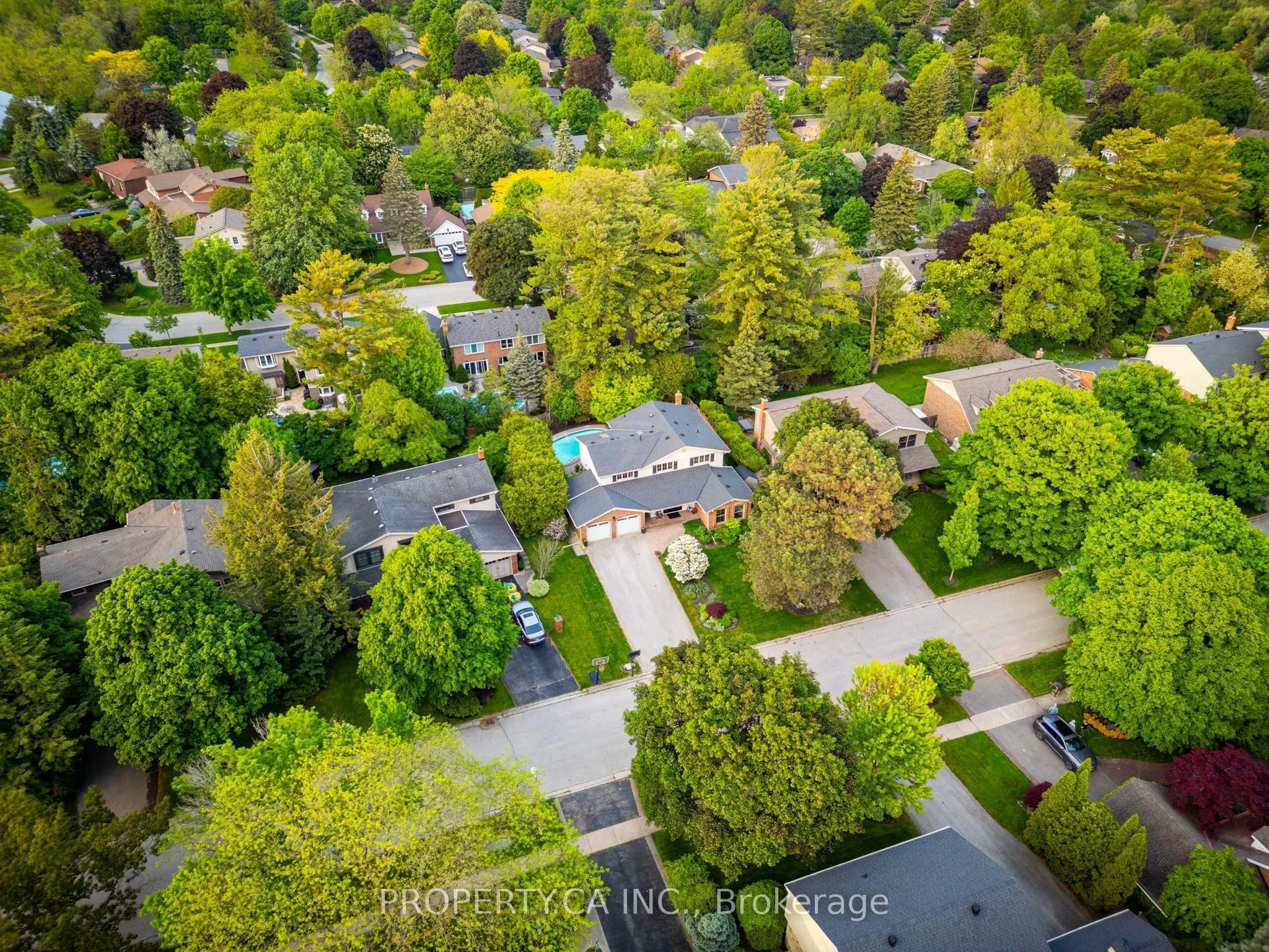 269 Beechfield Road
