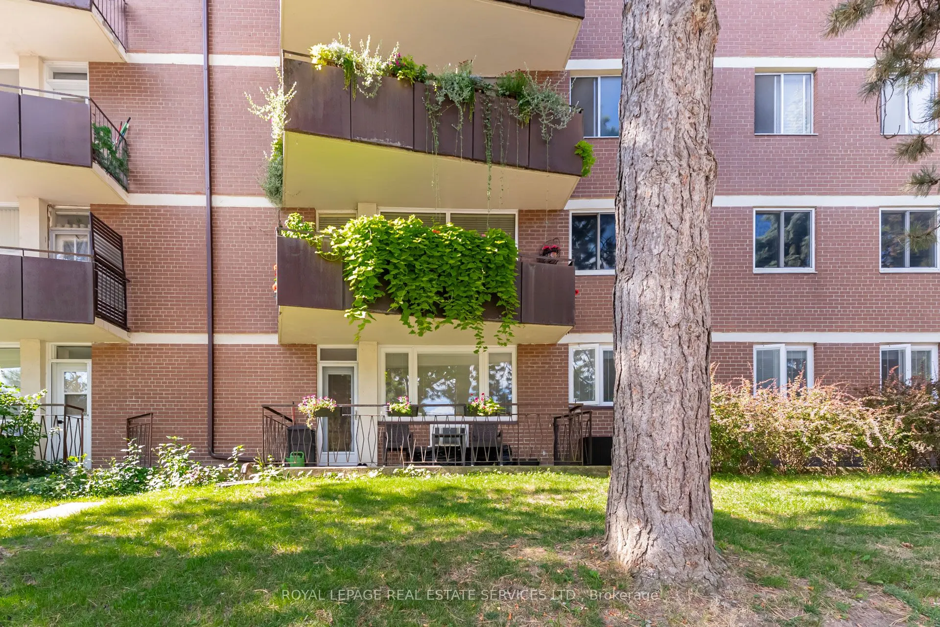 80 Coe Hill Drive, #221