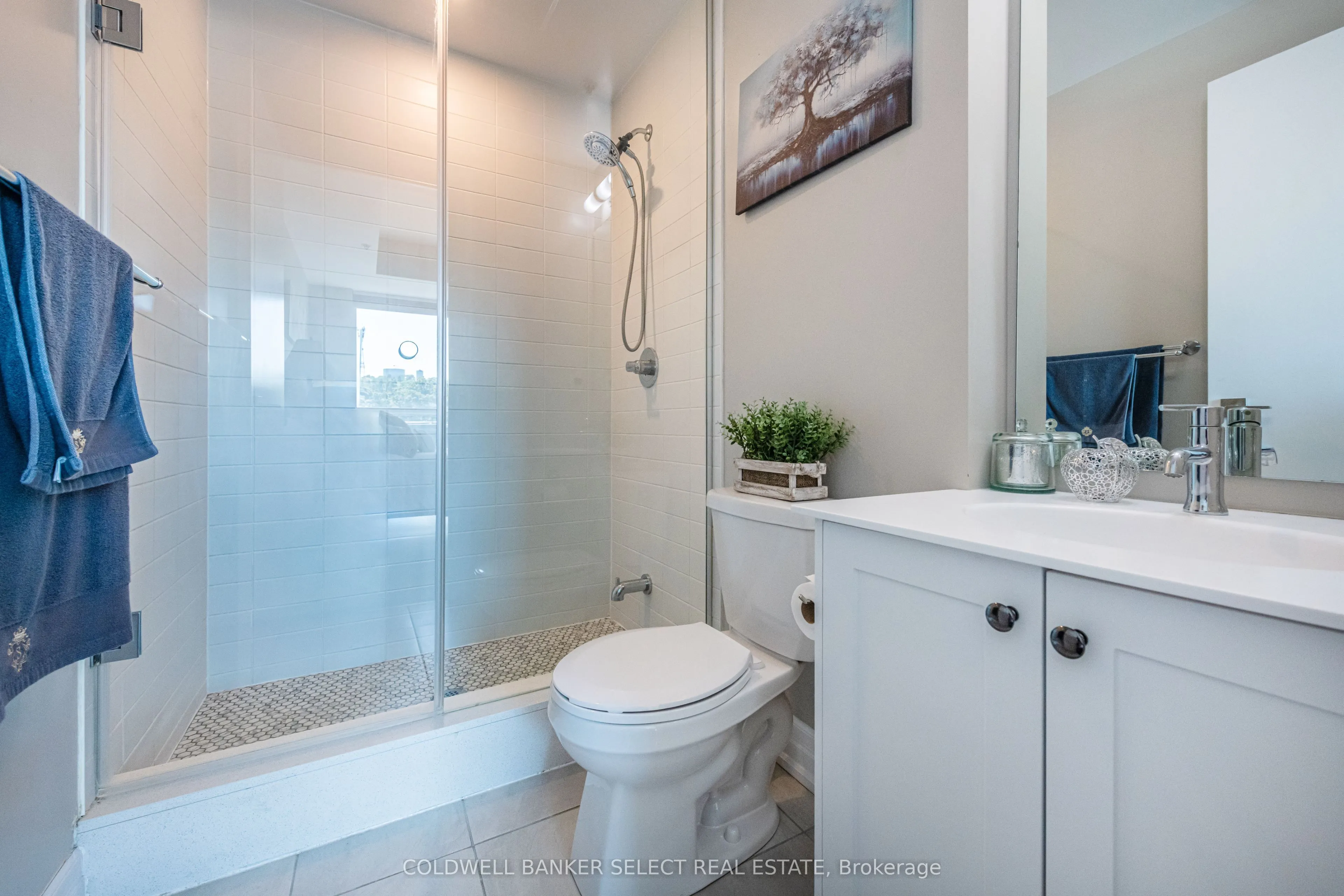 50 Ann Street, #403