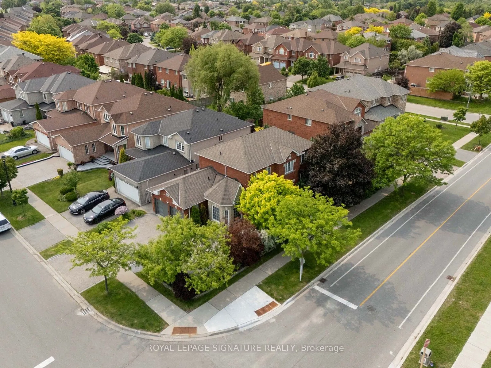 6412 Newcombe Drive