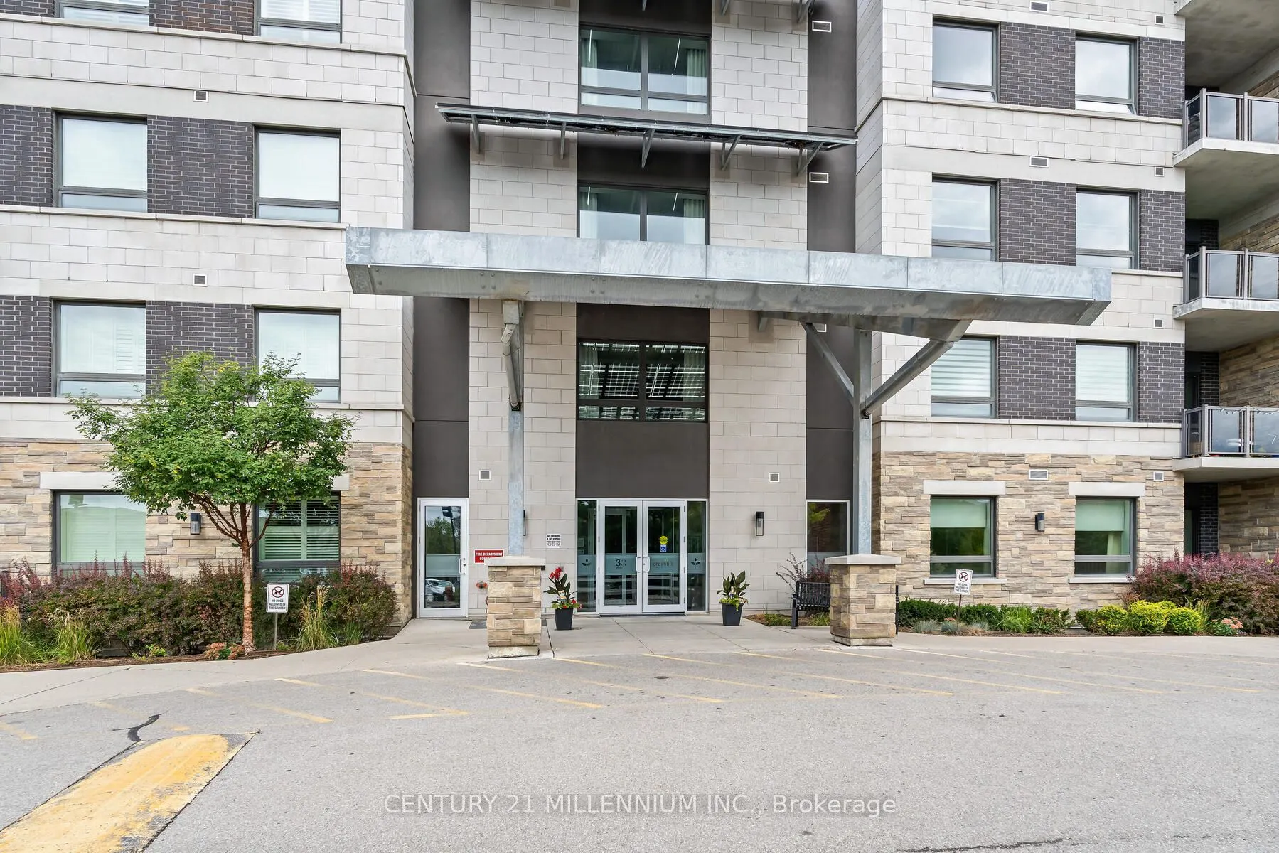 33 Whitmer Street, #413