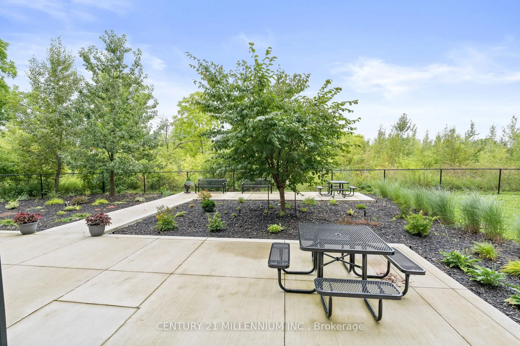 33 Whitmer Street, #413