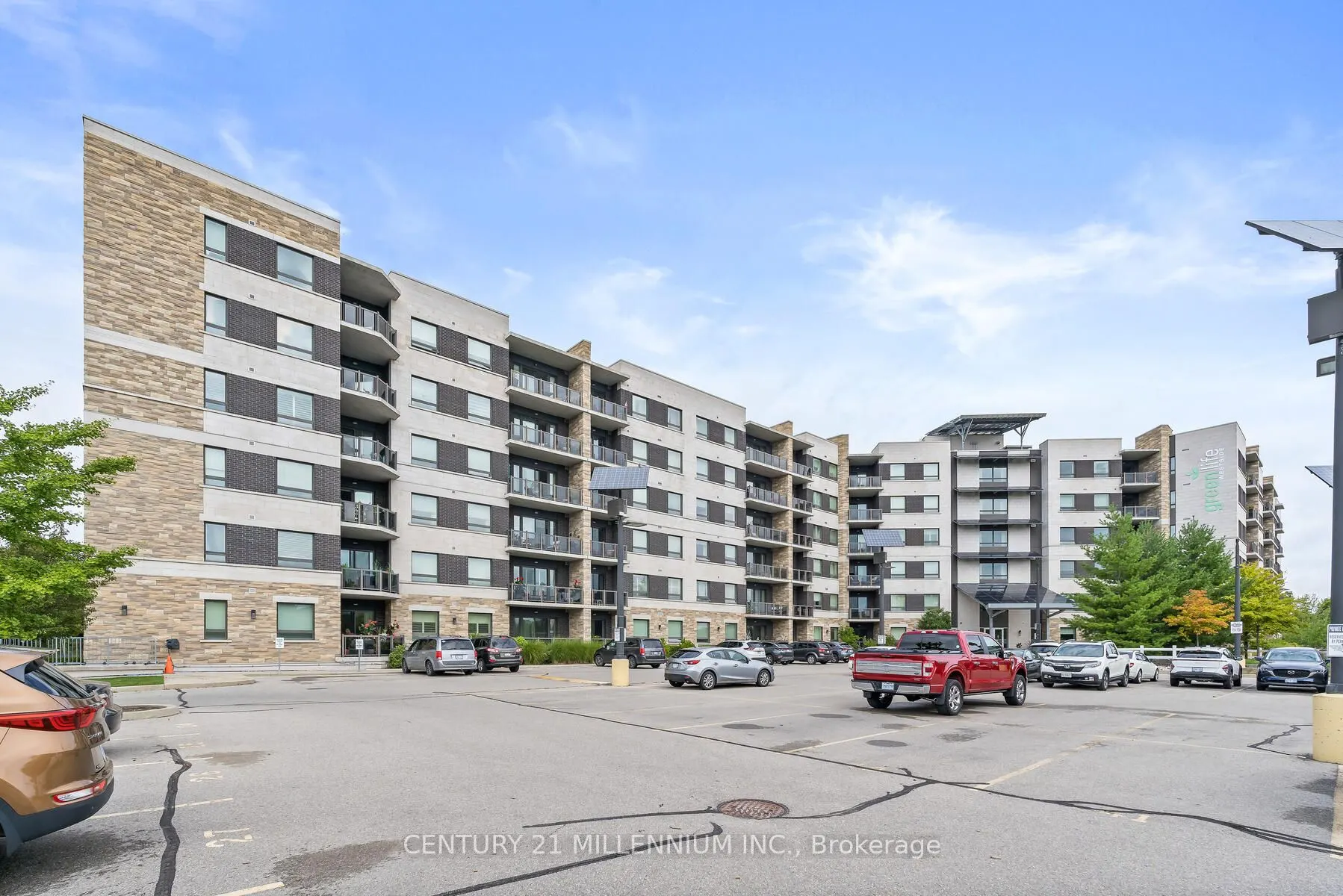 33 Whitmer Street, #413