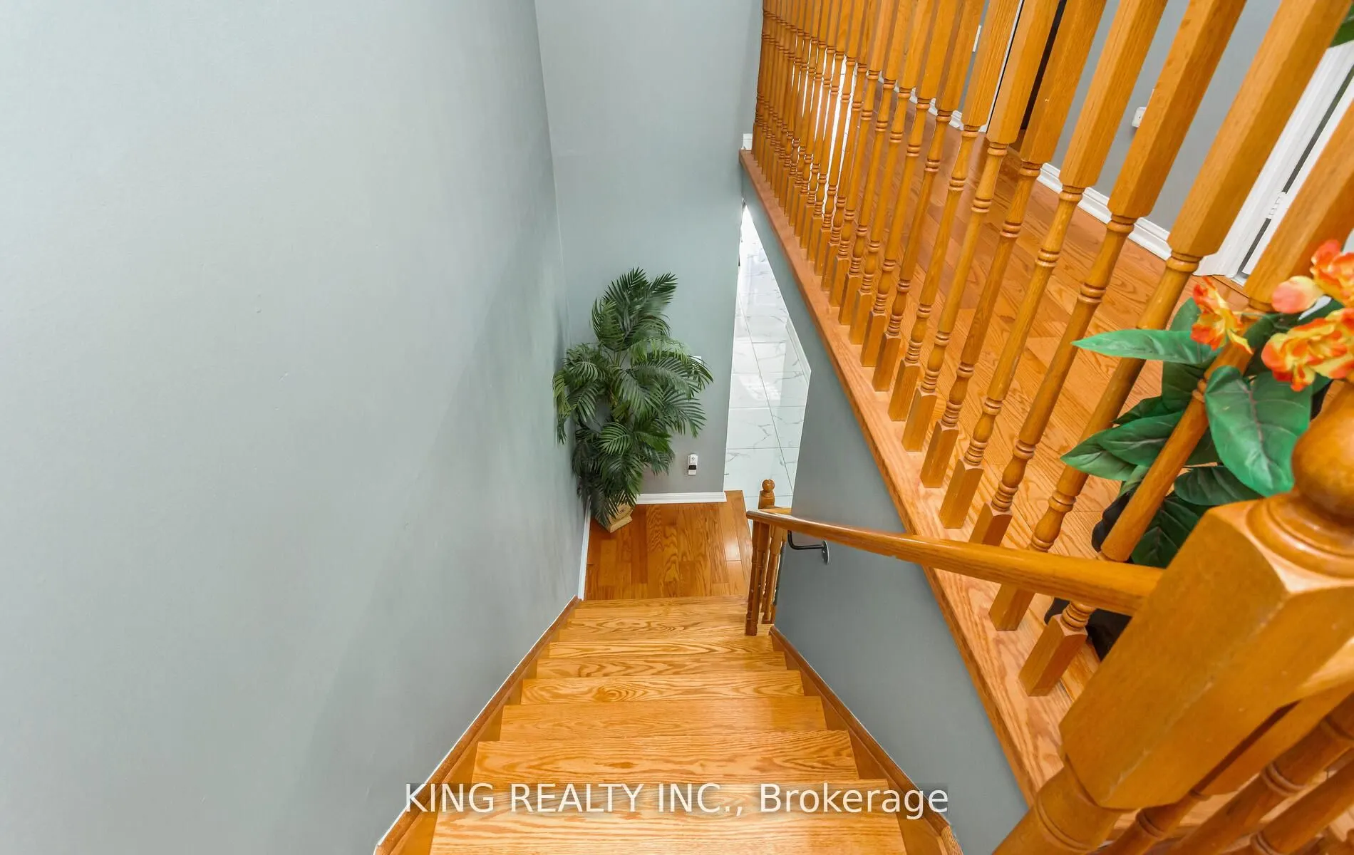 161 Tiller Trail