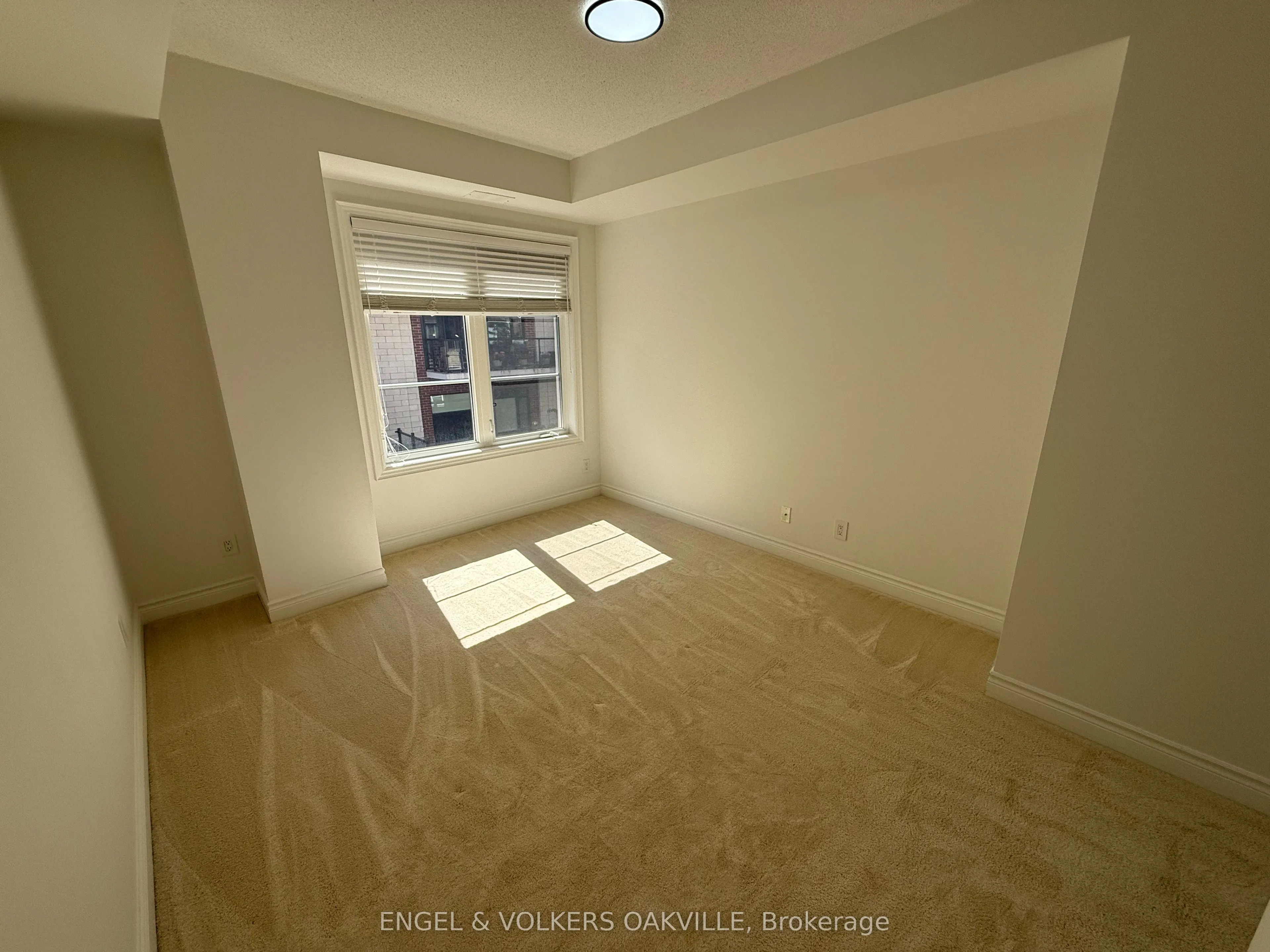 60 Ann Street, #209