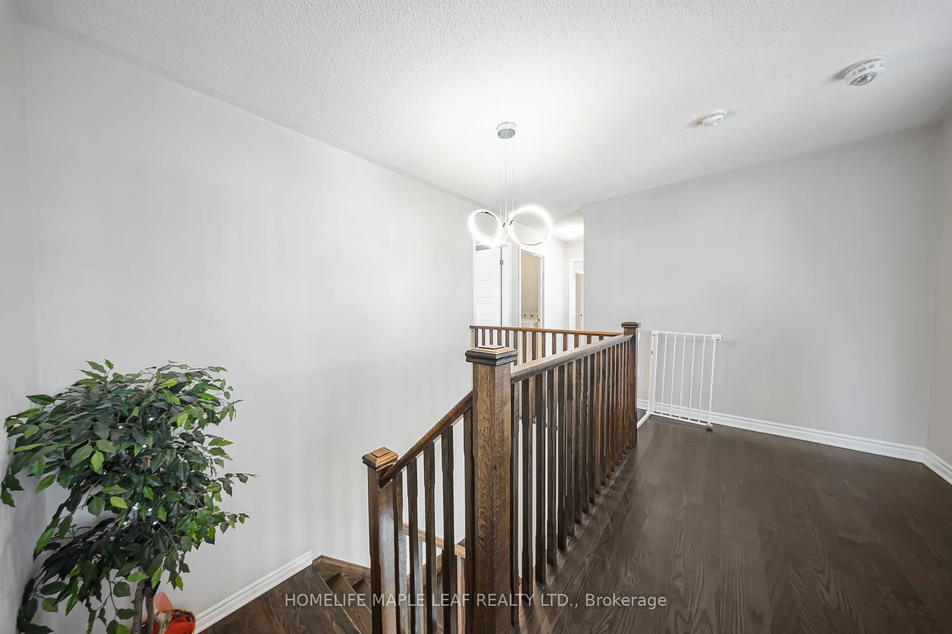 297 REIS Place