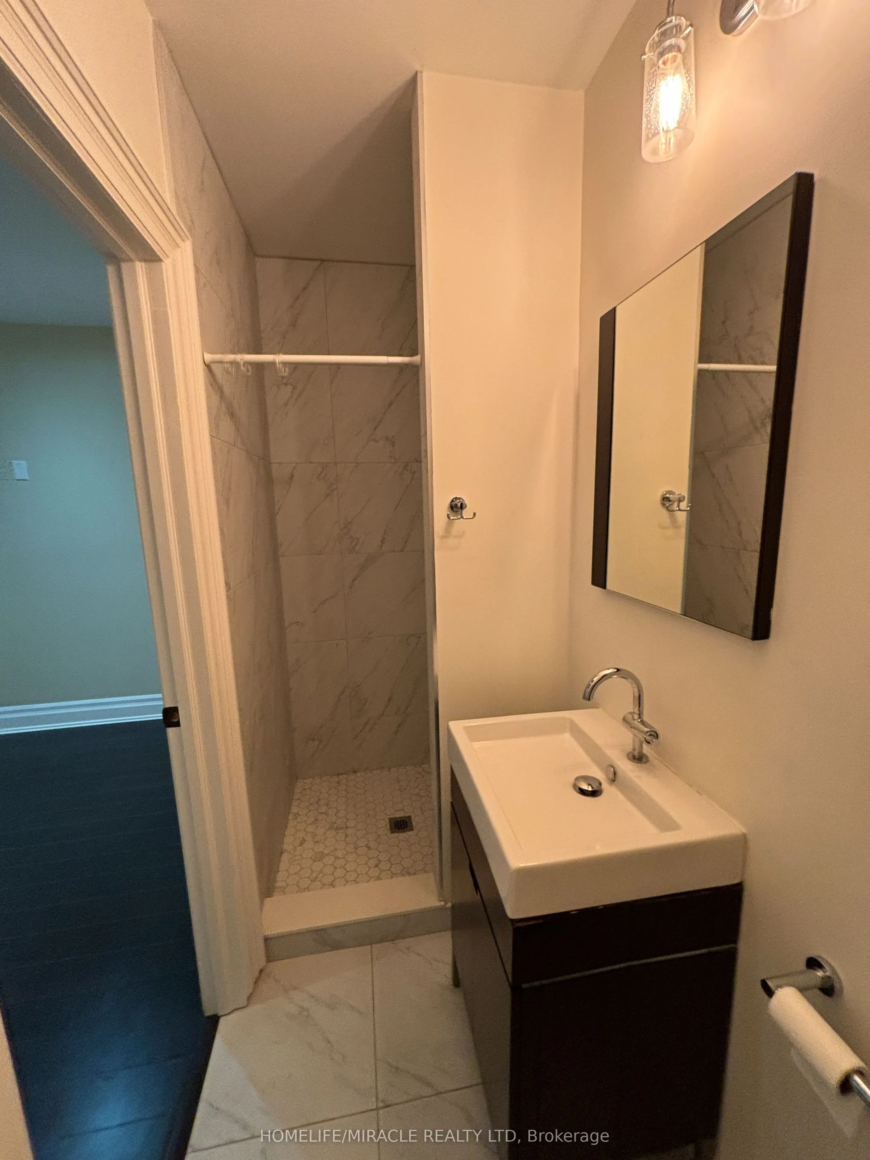 81 Chestnut Hills Parkway, #Lower