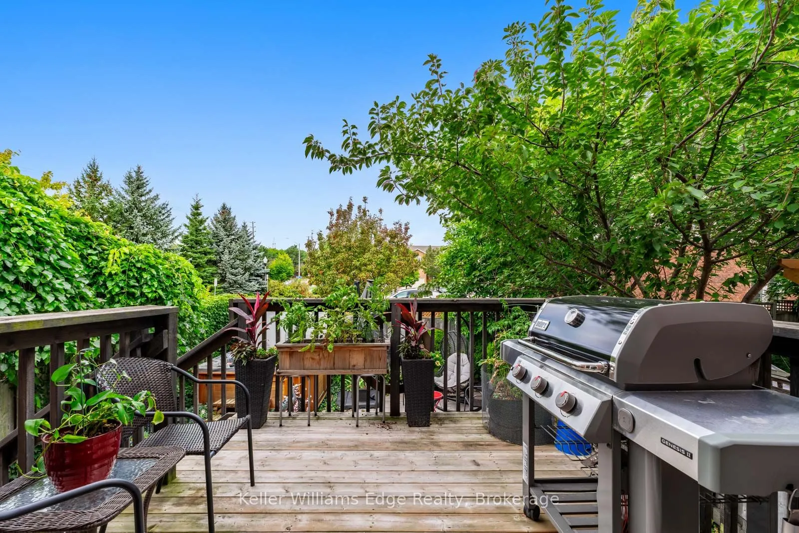 4003 Medland Drive