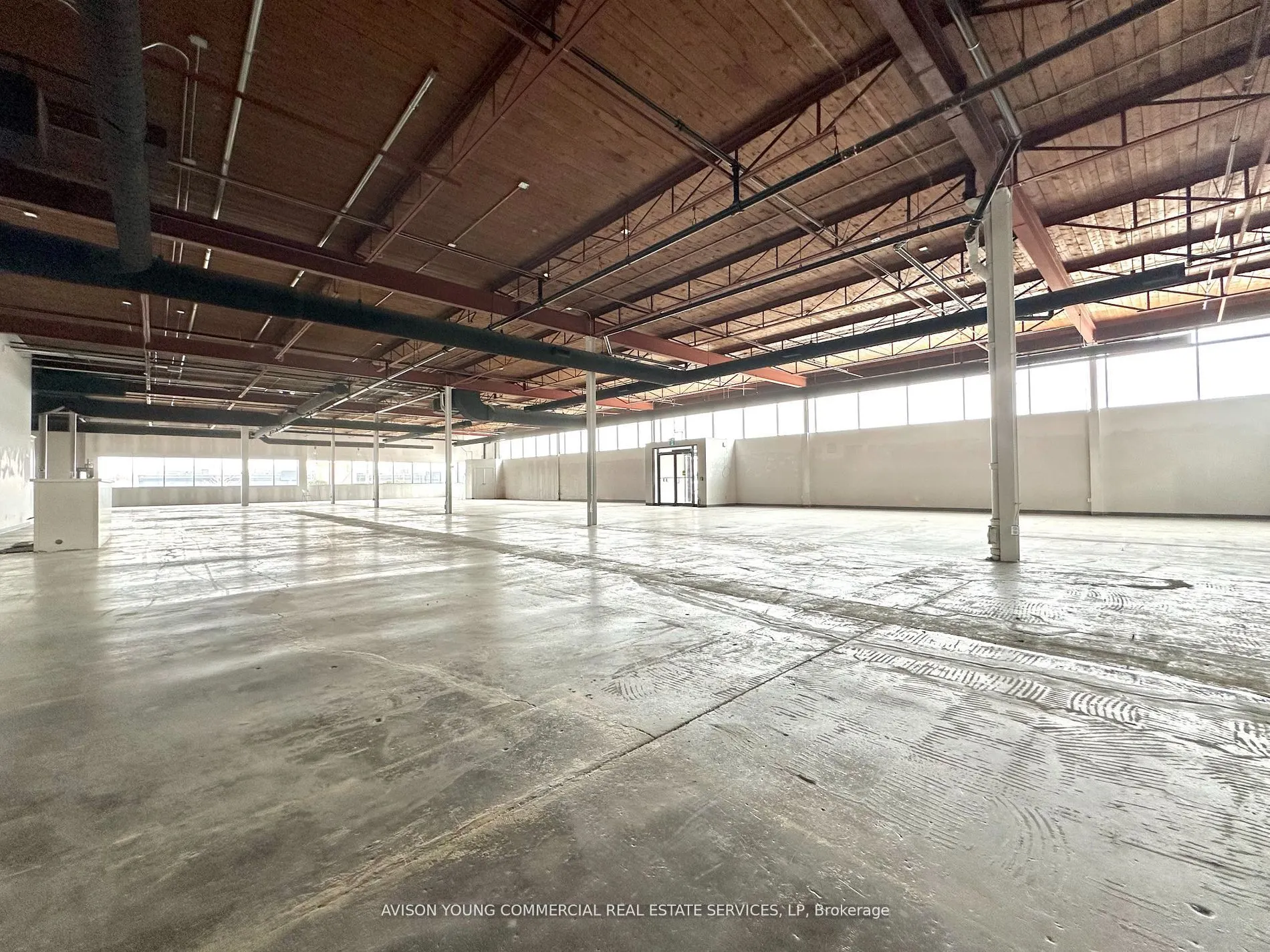 105 Wingold Avenue, #1