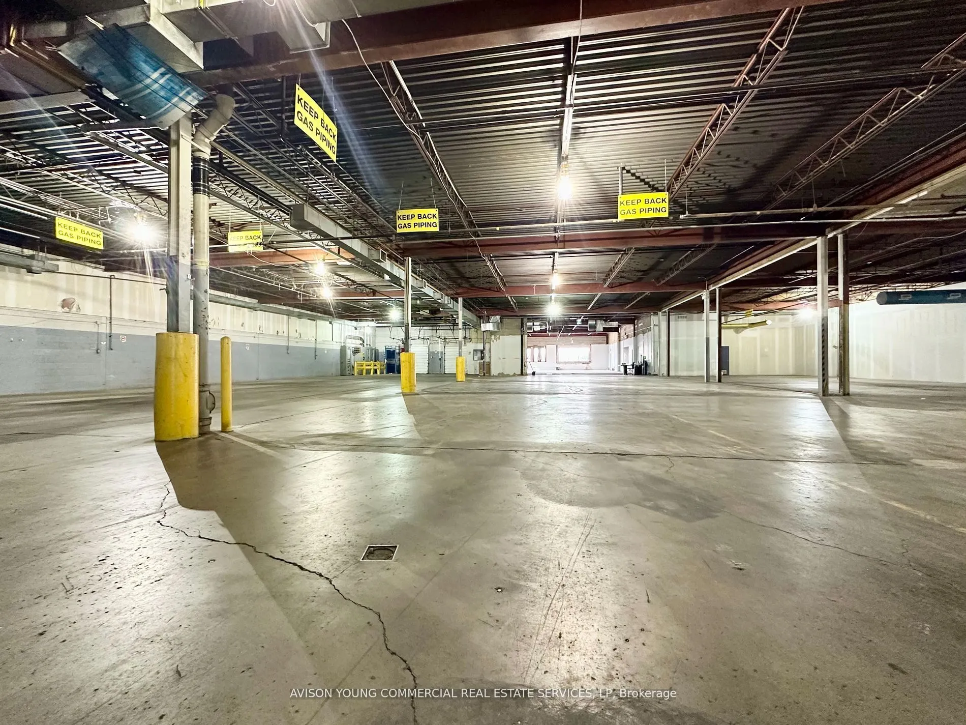 105 Wingold Avenue, #3-5