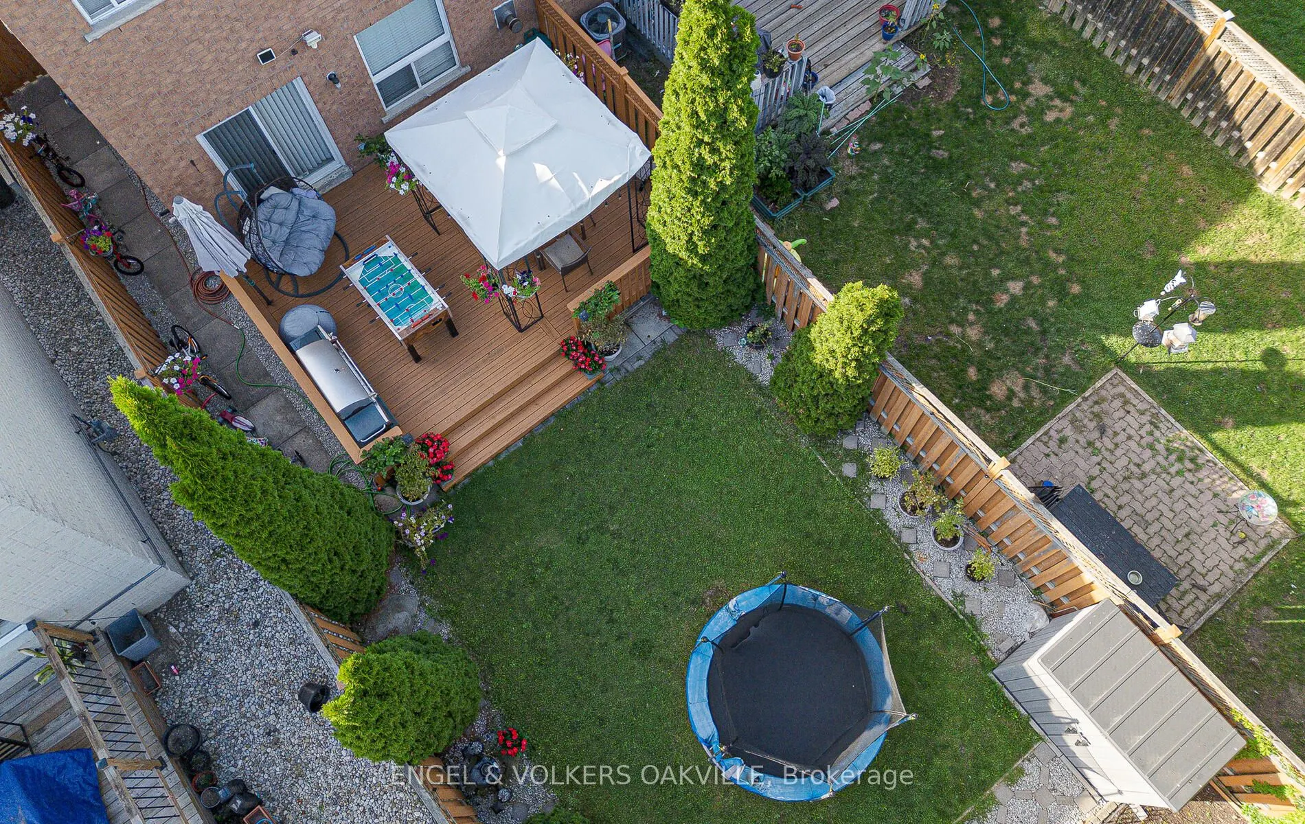 3976 Freeman Terrace