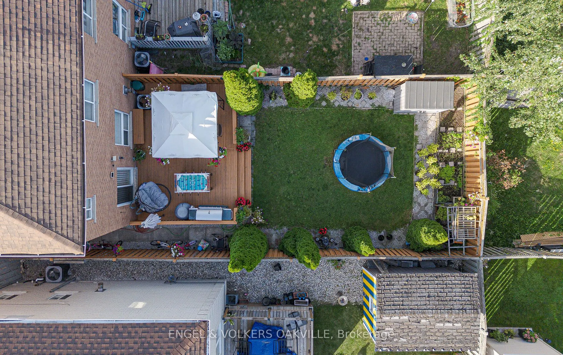 3976 Freeman Terrace