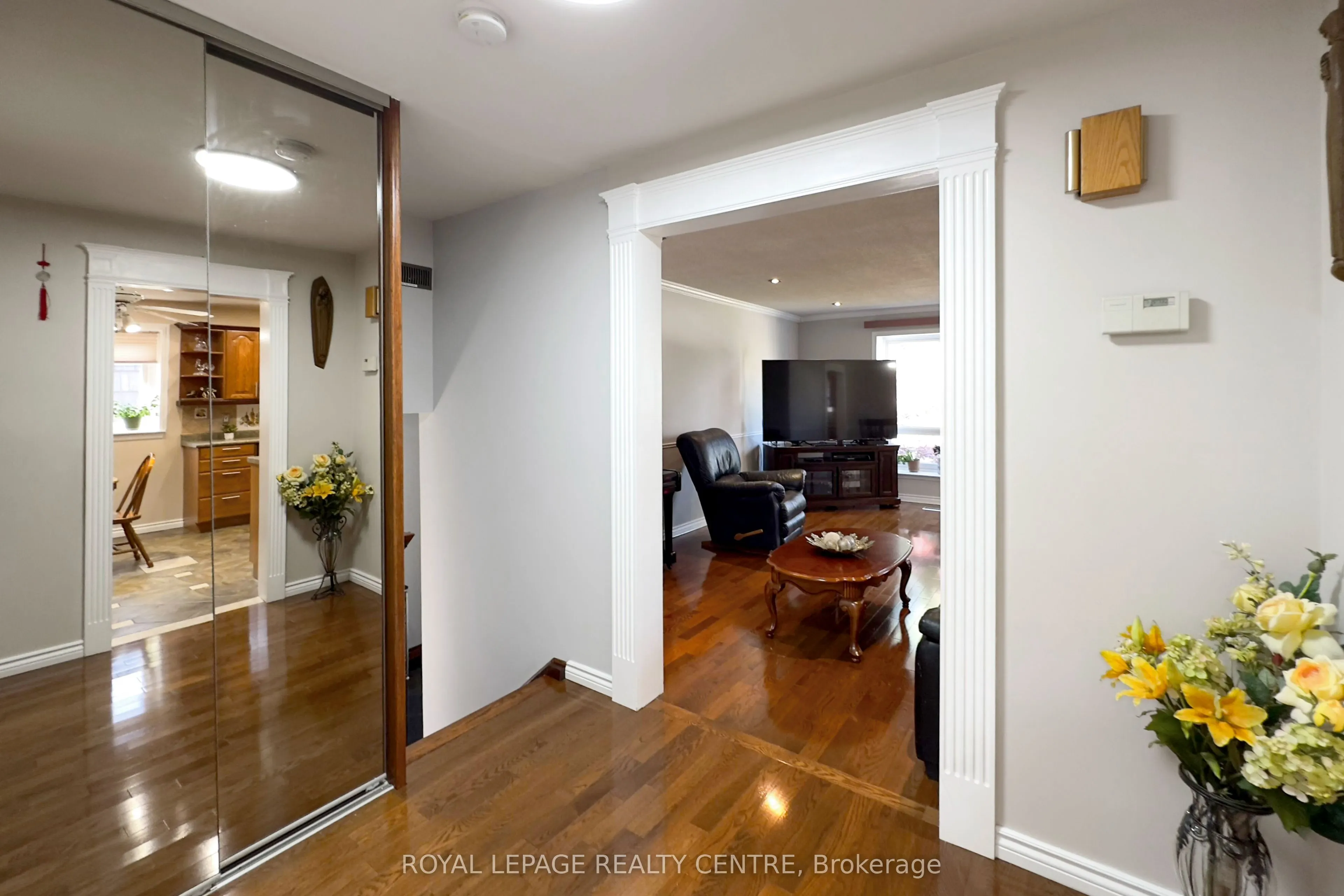 254 Louis Drive