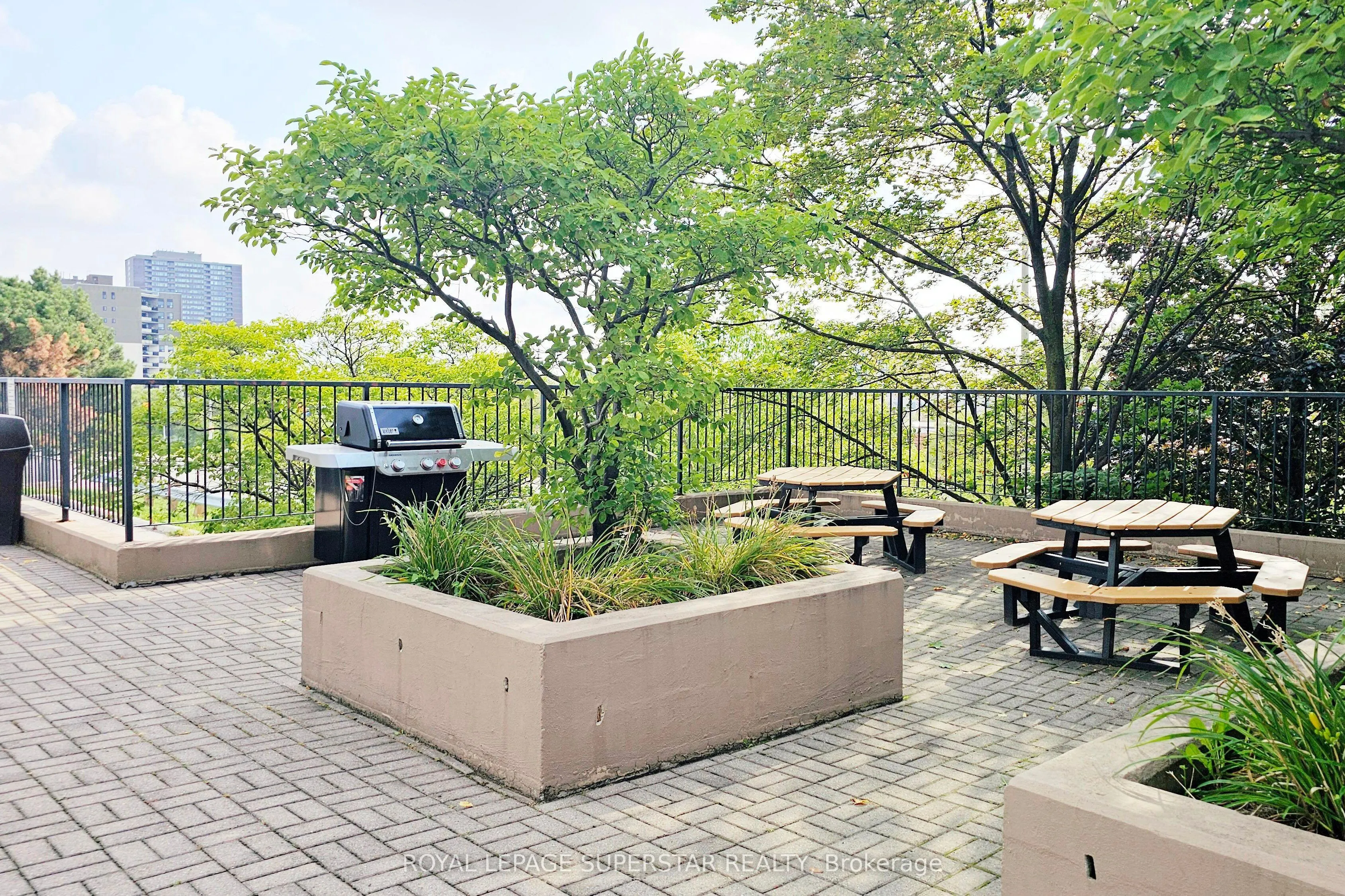 115 Hillcrest Avenue, #215
