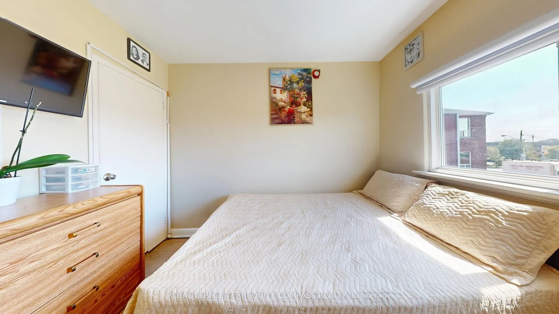 11 Arrowsmith Avenue