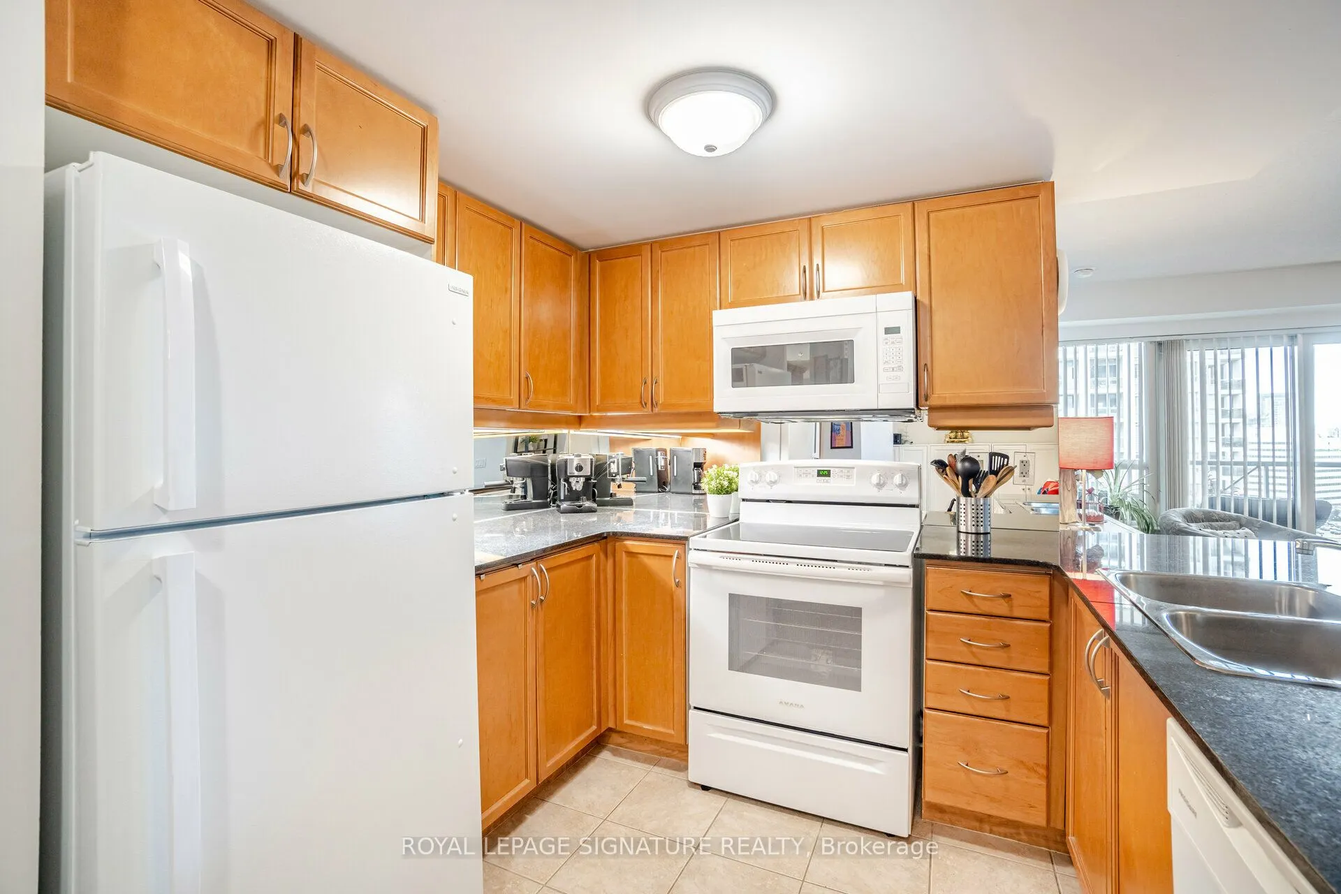 350 Princess Royal Drive, #1508