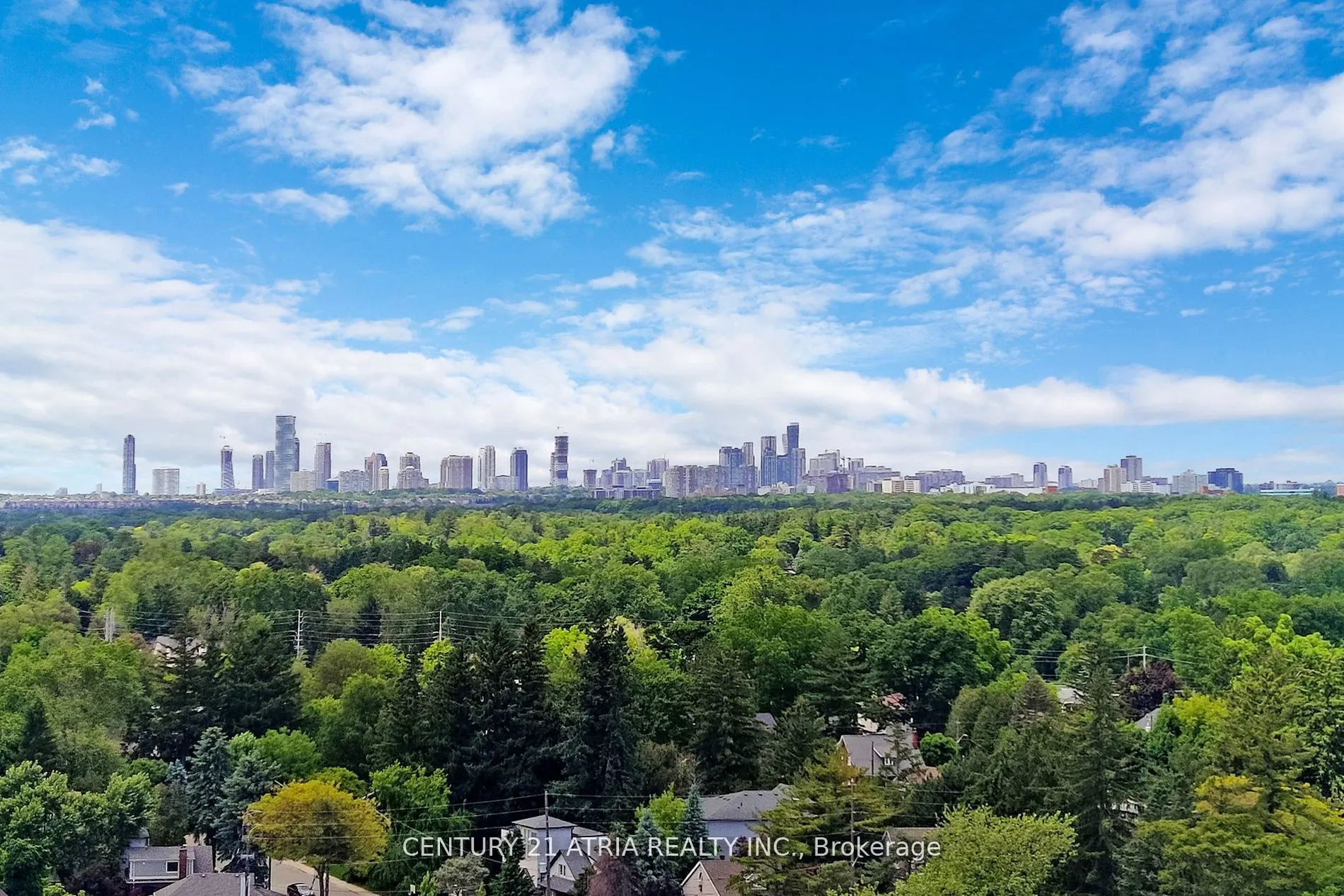 220 Missinnihe Way, #1410