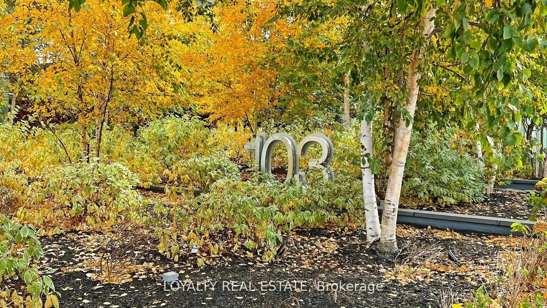 103 The Queensway W, #1810