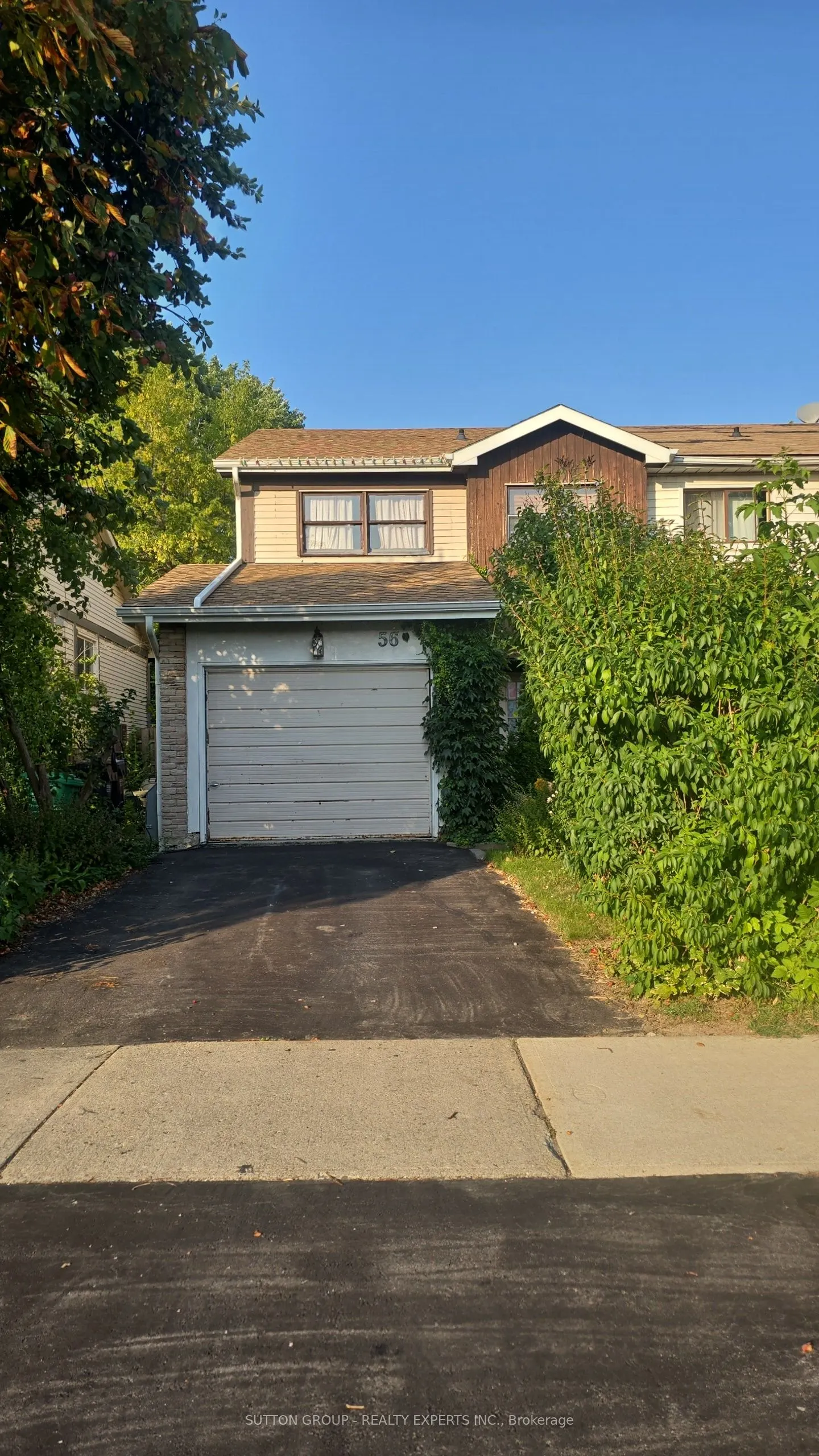56 Greene Drive