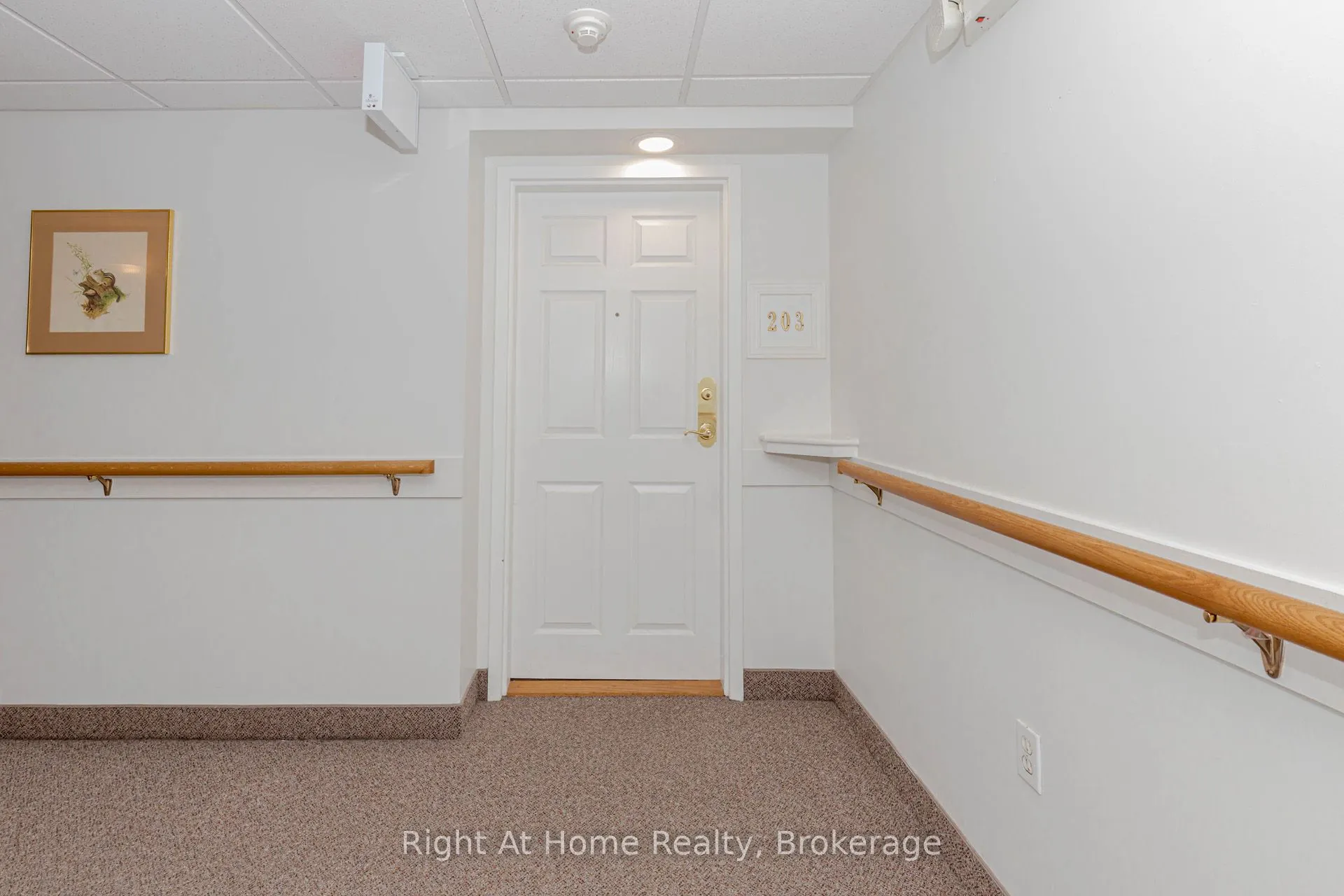 137 Martin Street, #203