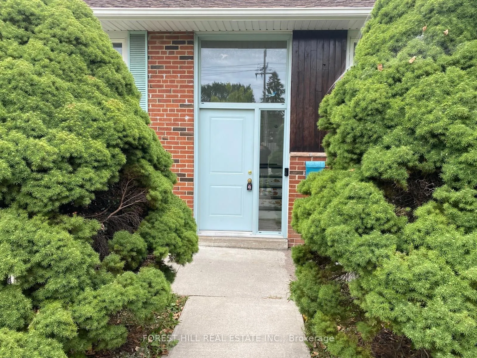 1665 Kipling Avenue, #LOWER