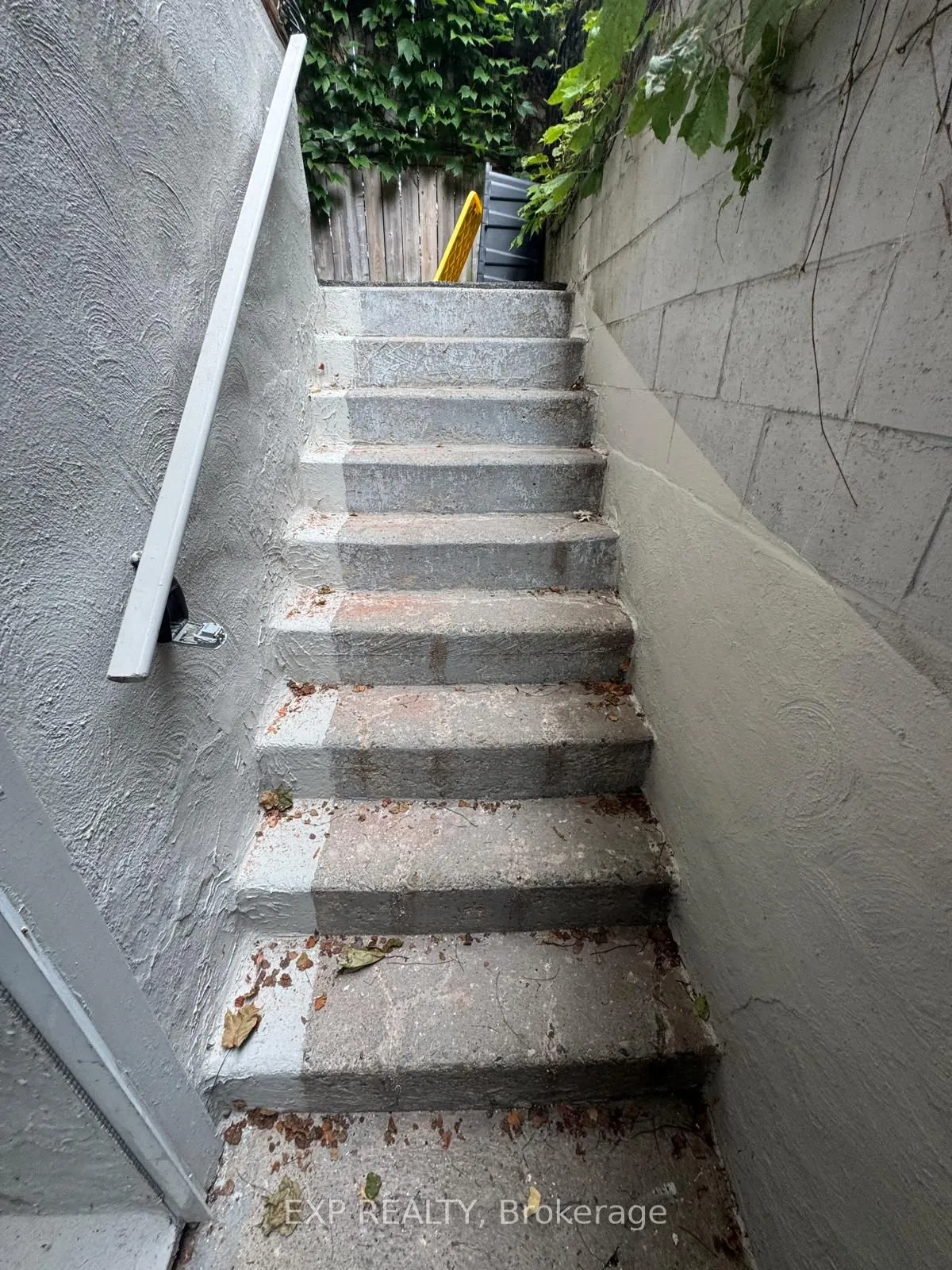 227 Evelyn Avenue, #Basement
