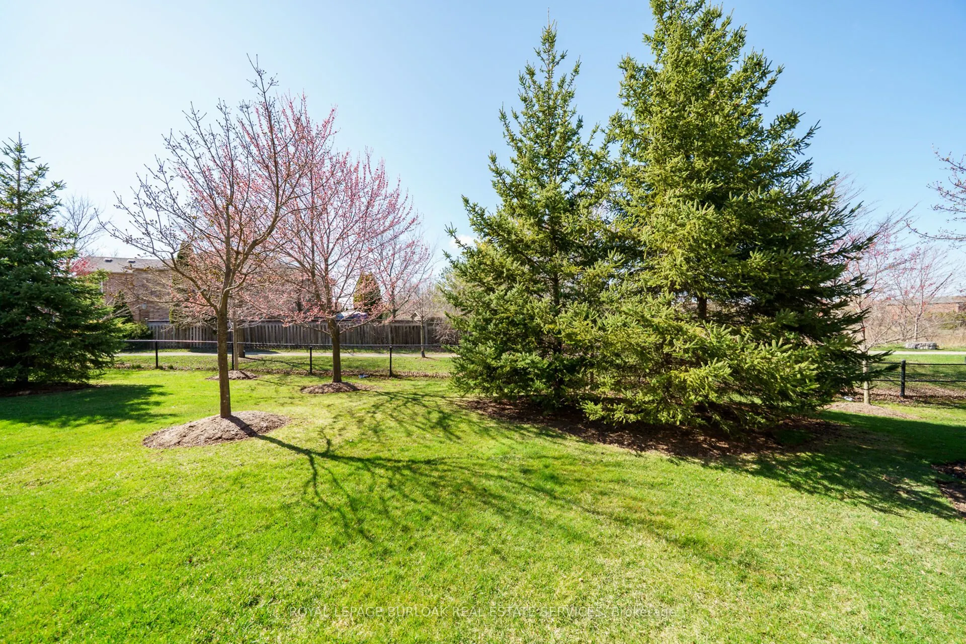 300 Ravineview Way, #41