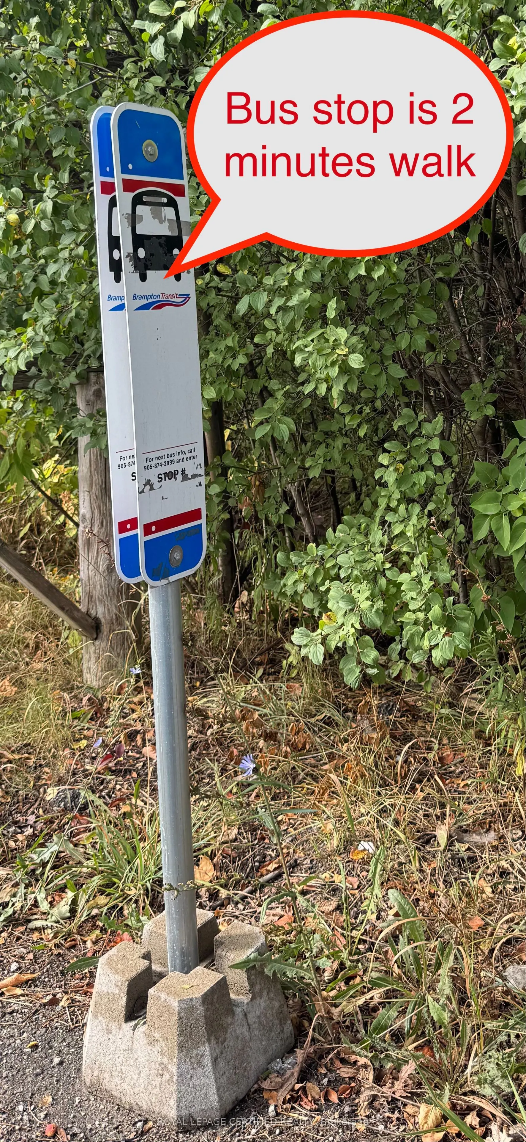 12119 The Gore Road