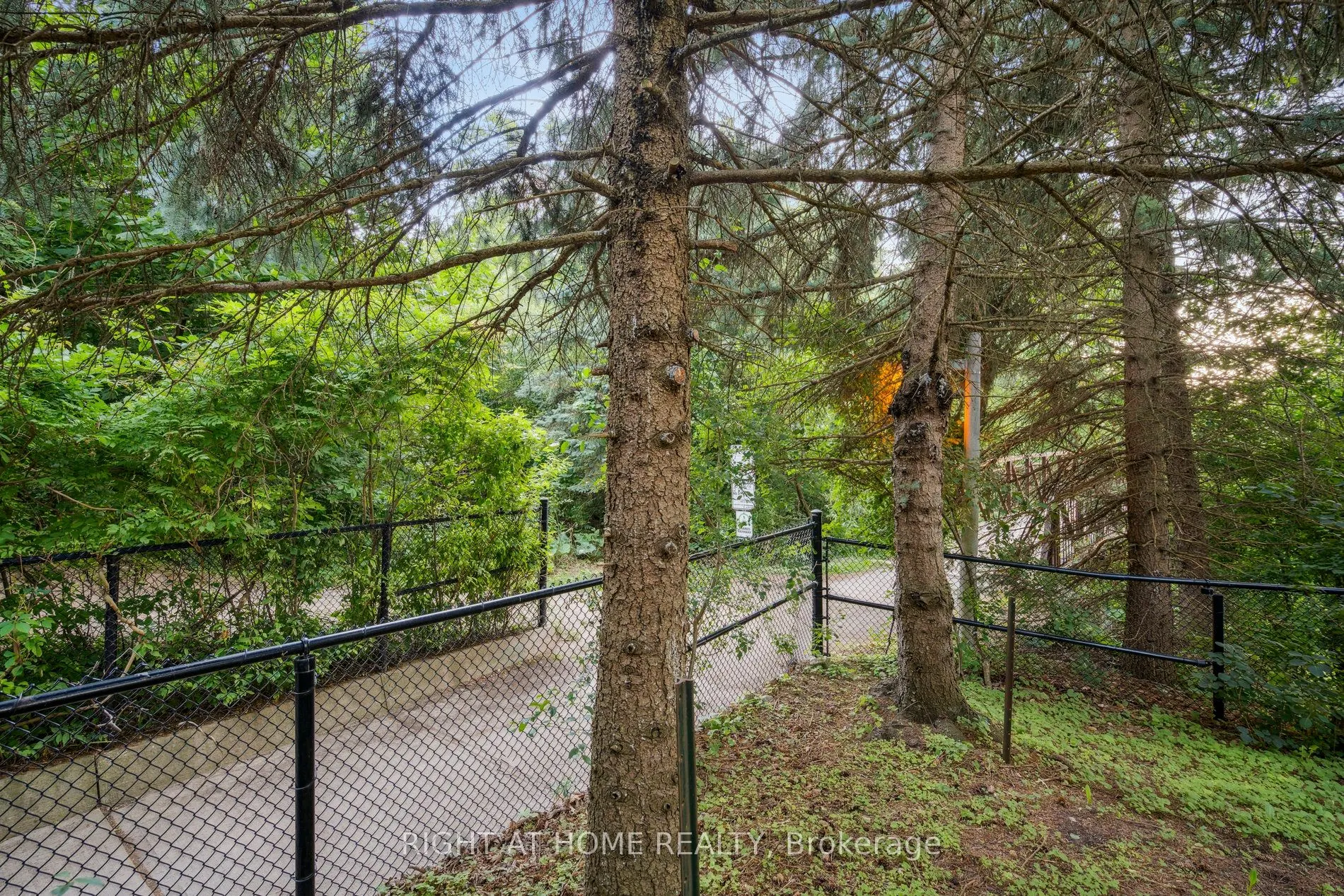 2322 Woodridge Way