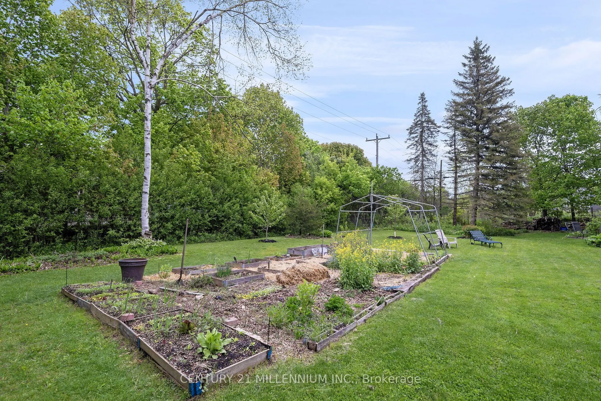 1551 Queen Street E