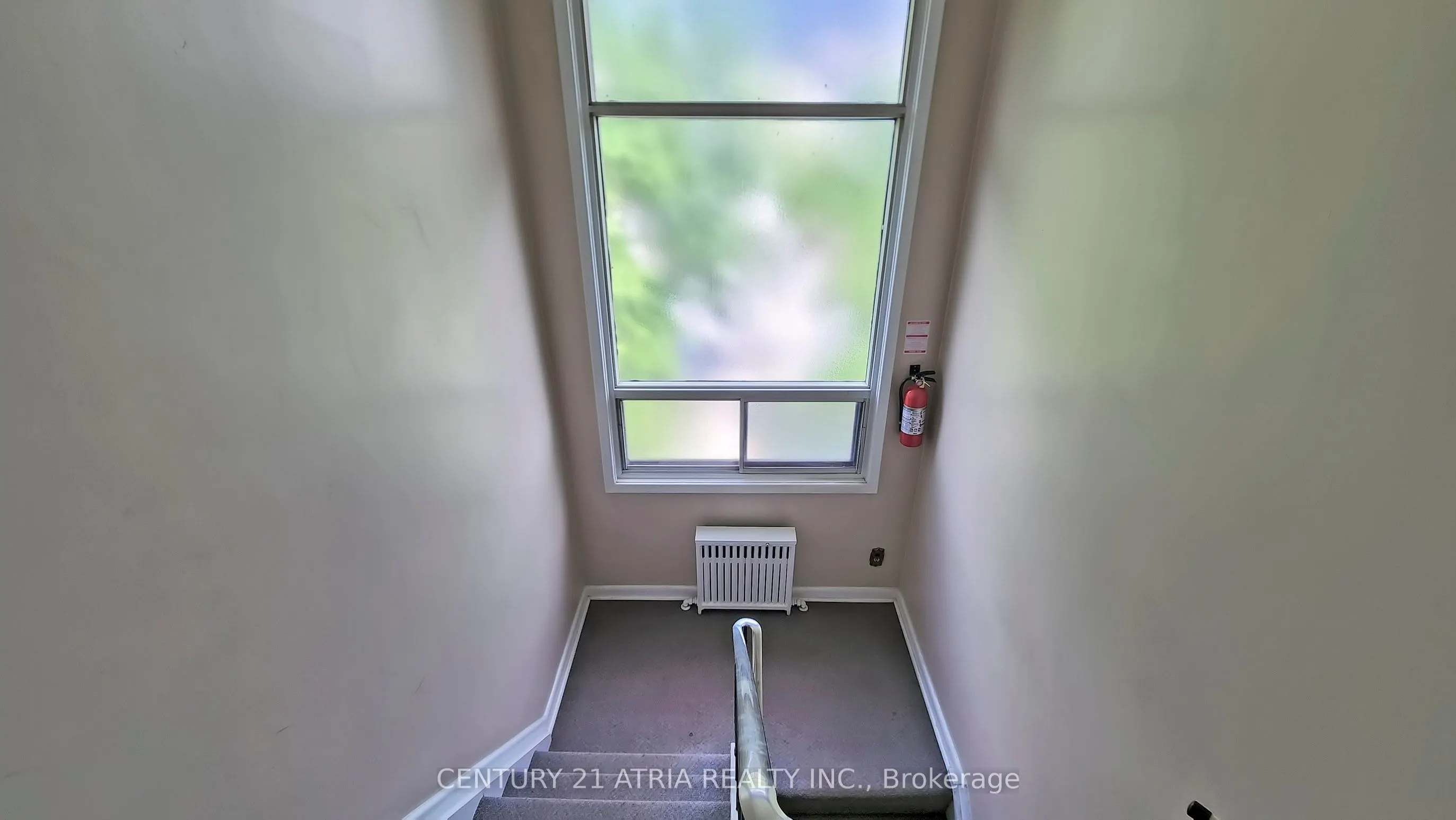 11 Evans Avenue, #6