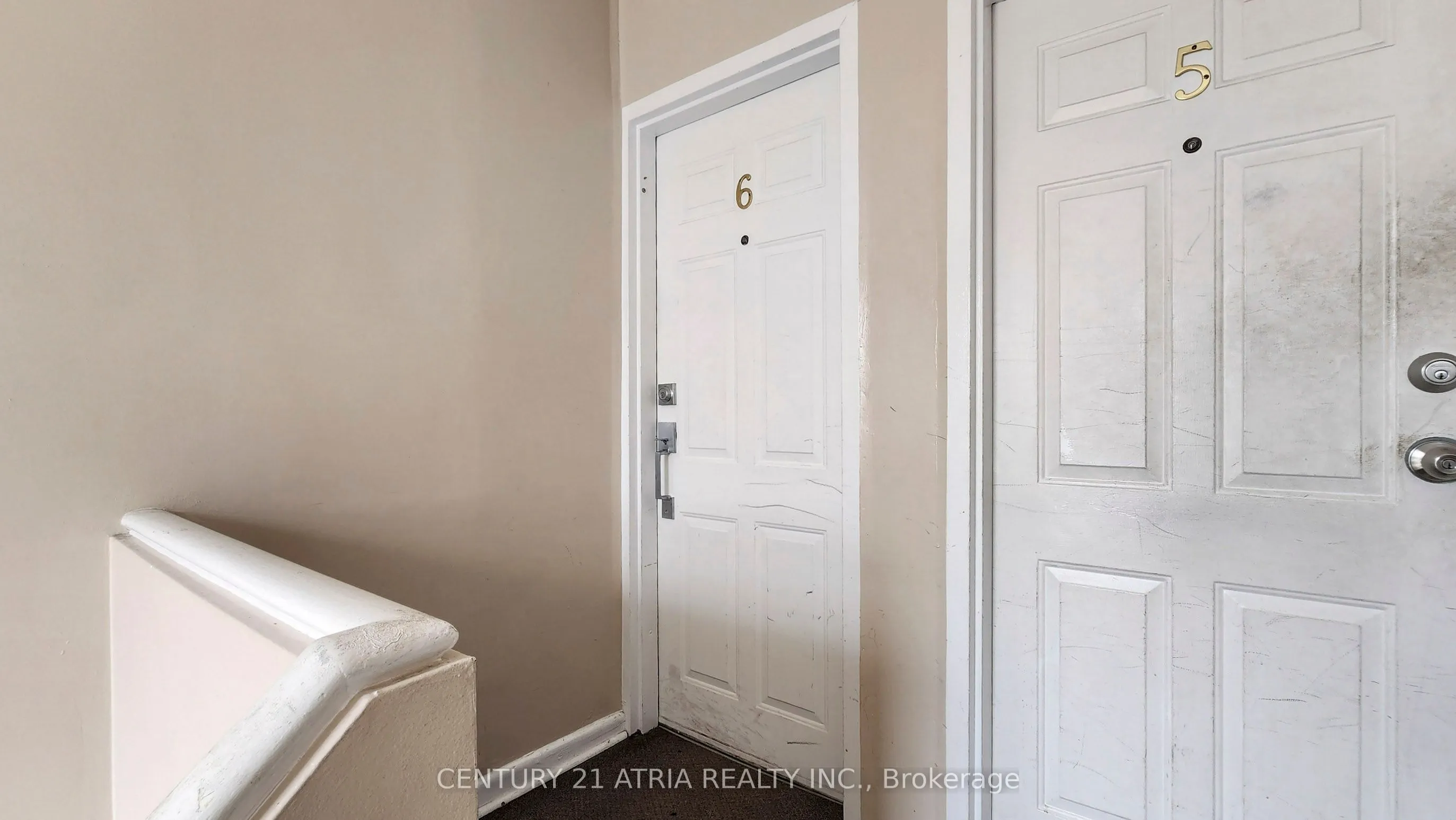 11 Evans Avenue, #6