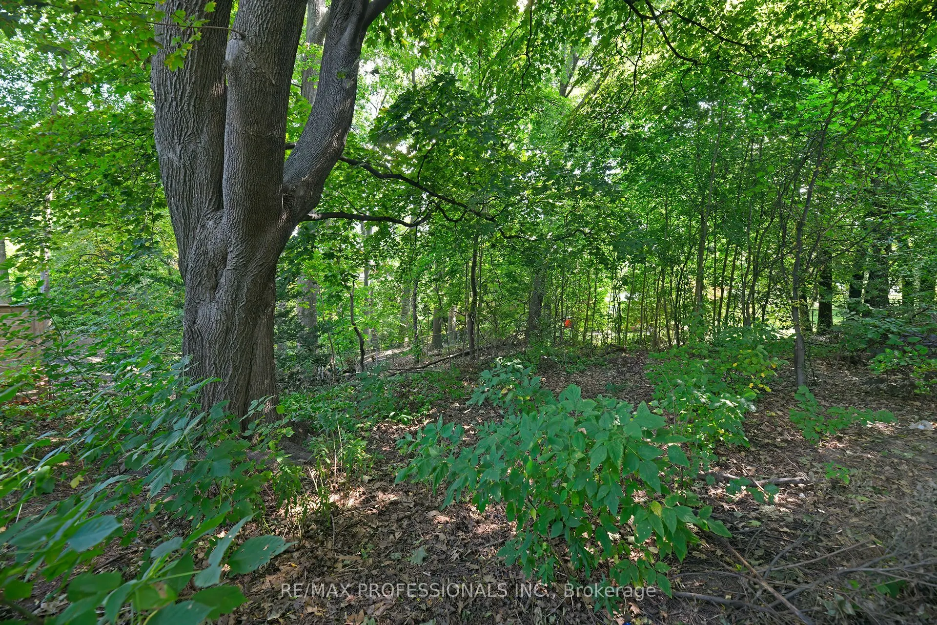 1161 Royal York Road