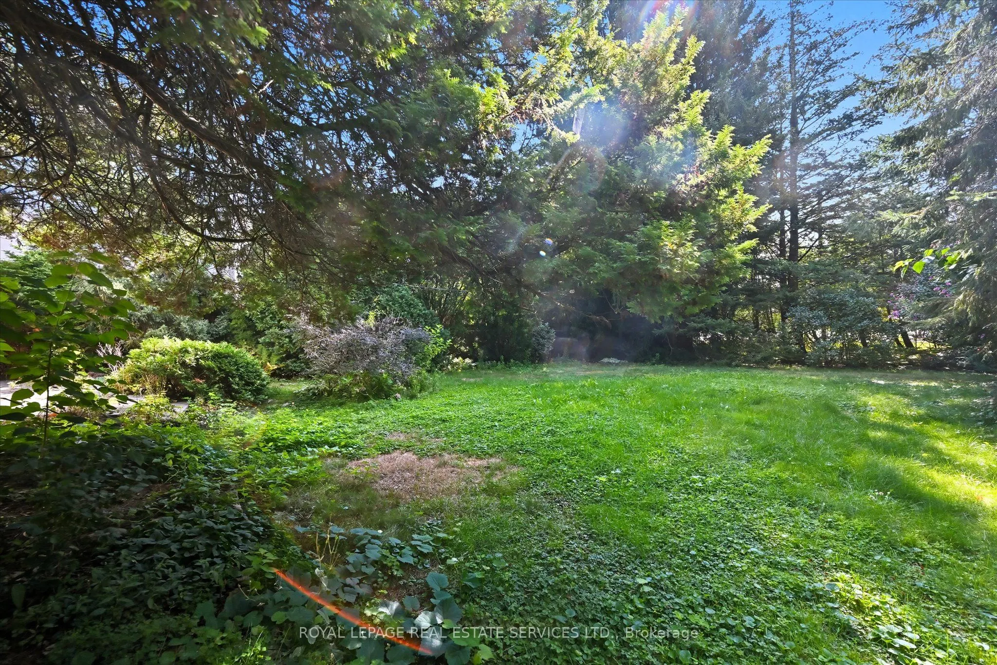 1536 Venetia Drive