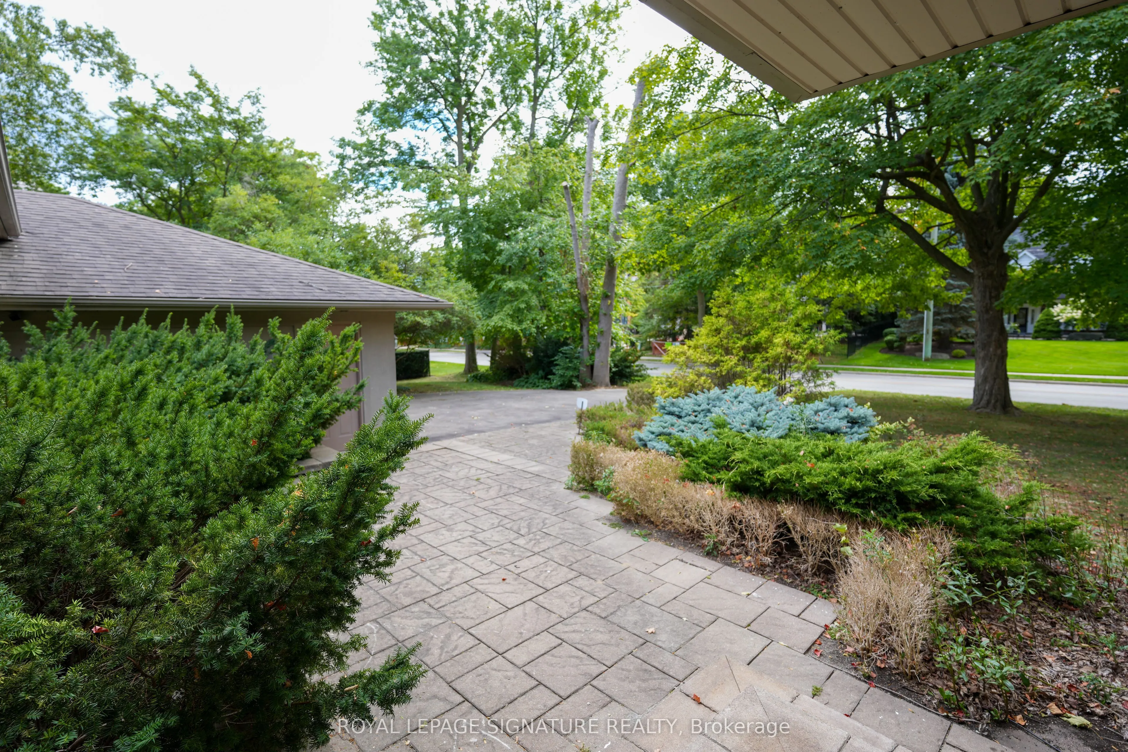 169 Maple Grove Drive