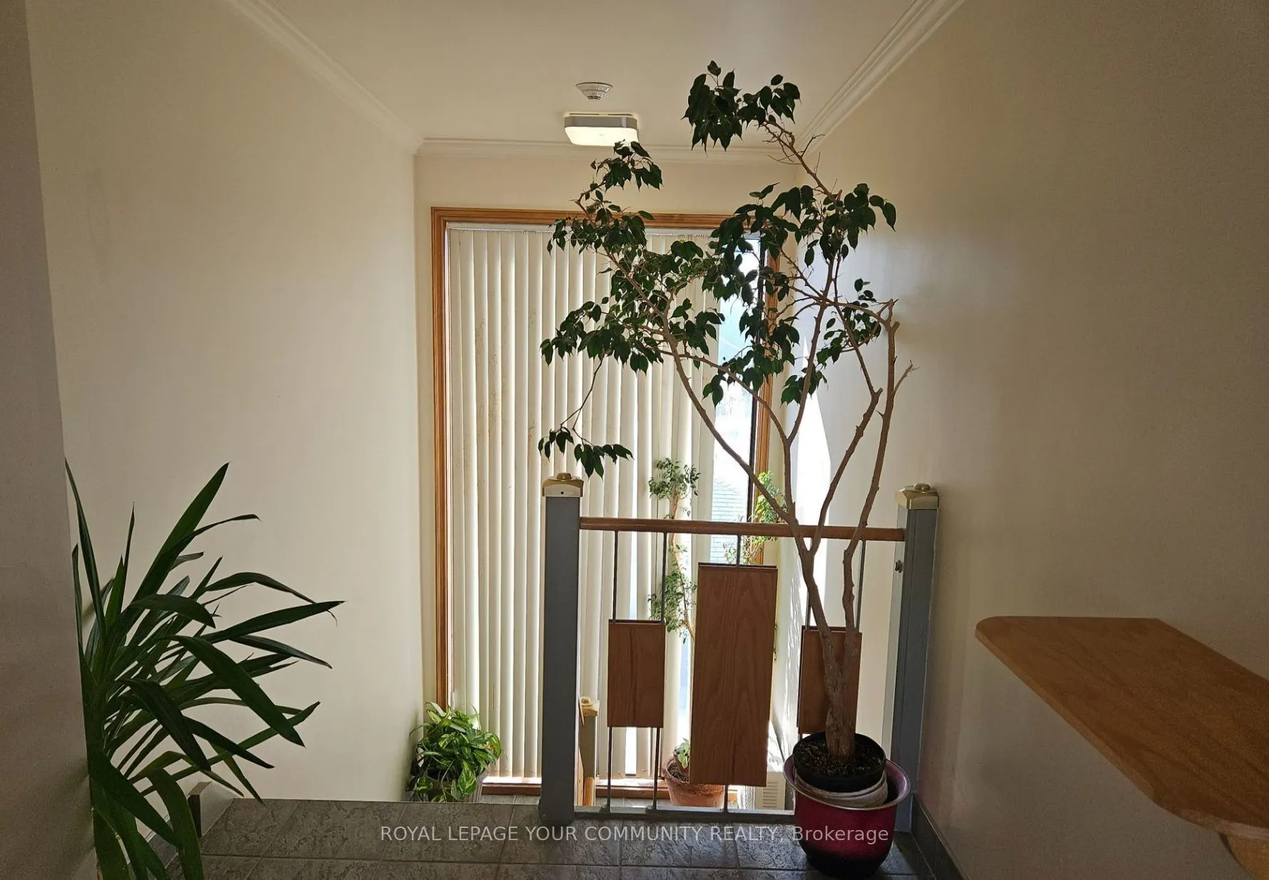 795 Wilson Avenue, #301