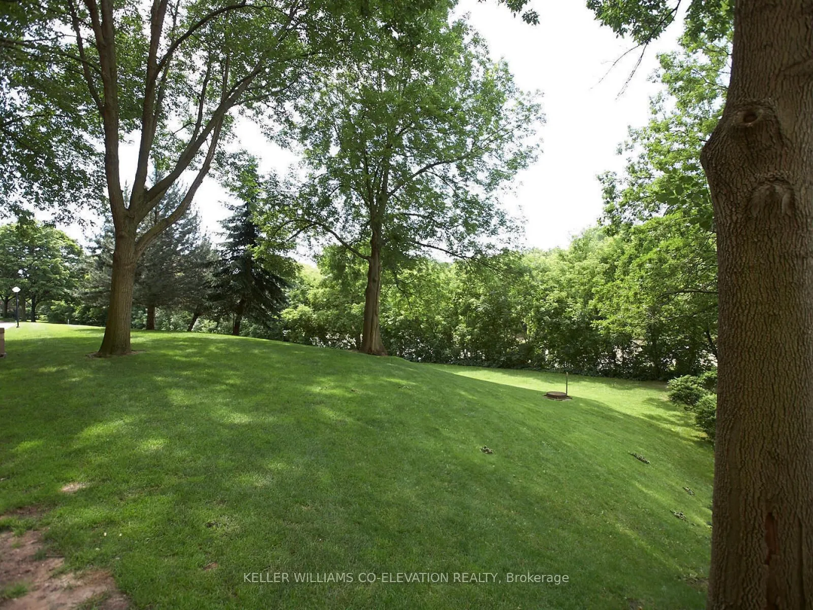 250 Scarlett Road, #2009