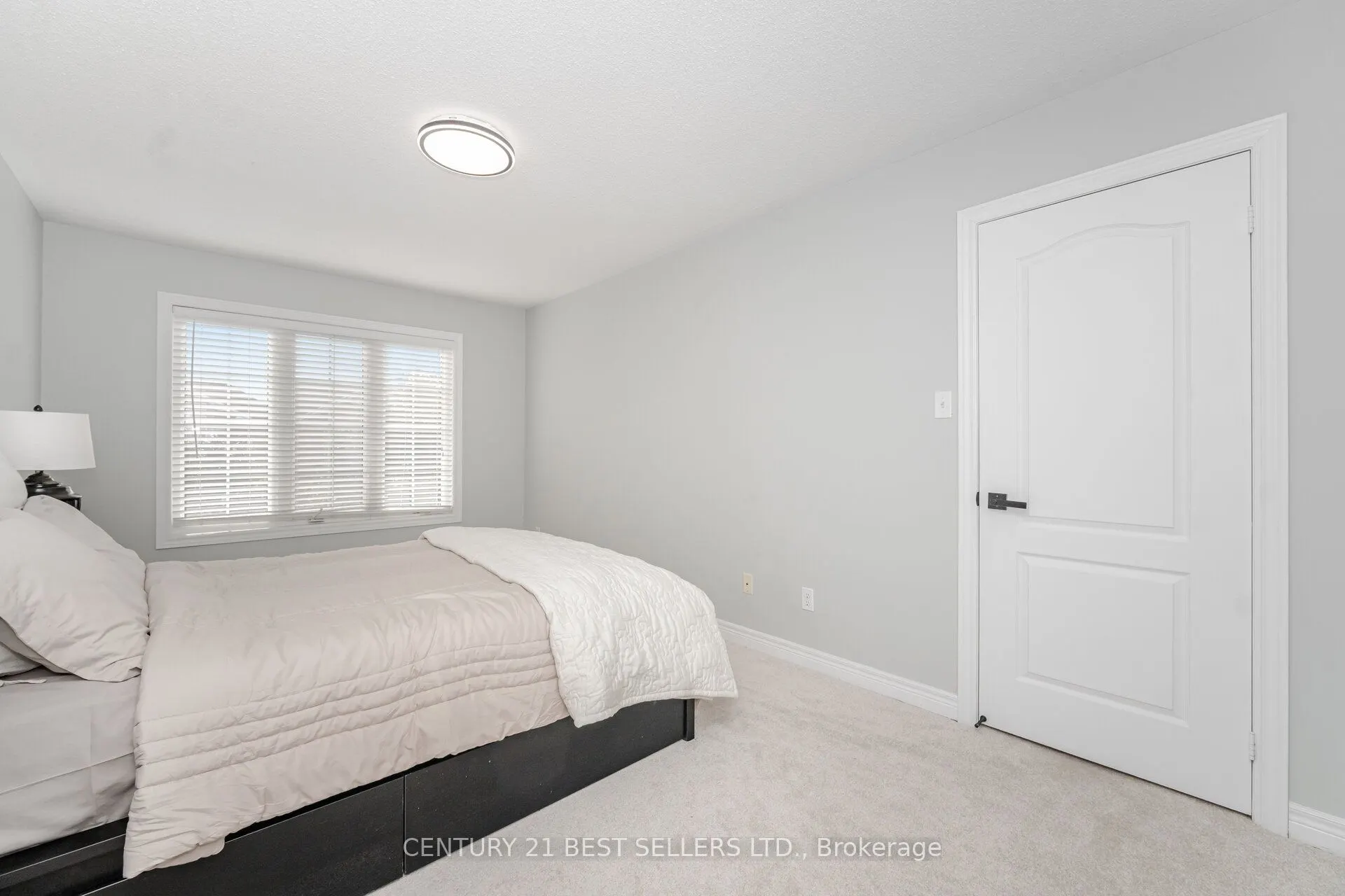 222 Andrews Trail