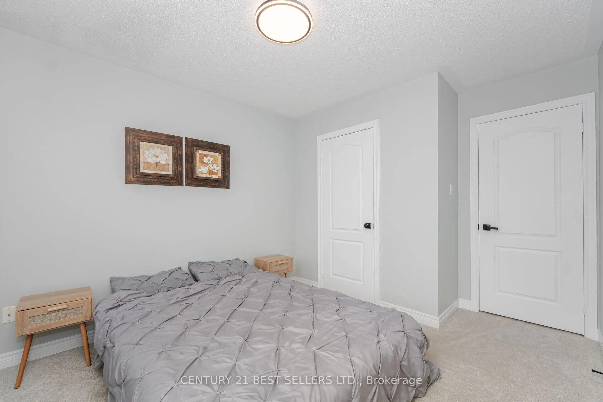 222 Andrews Trail