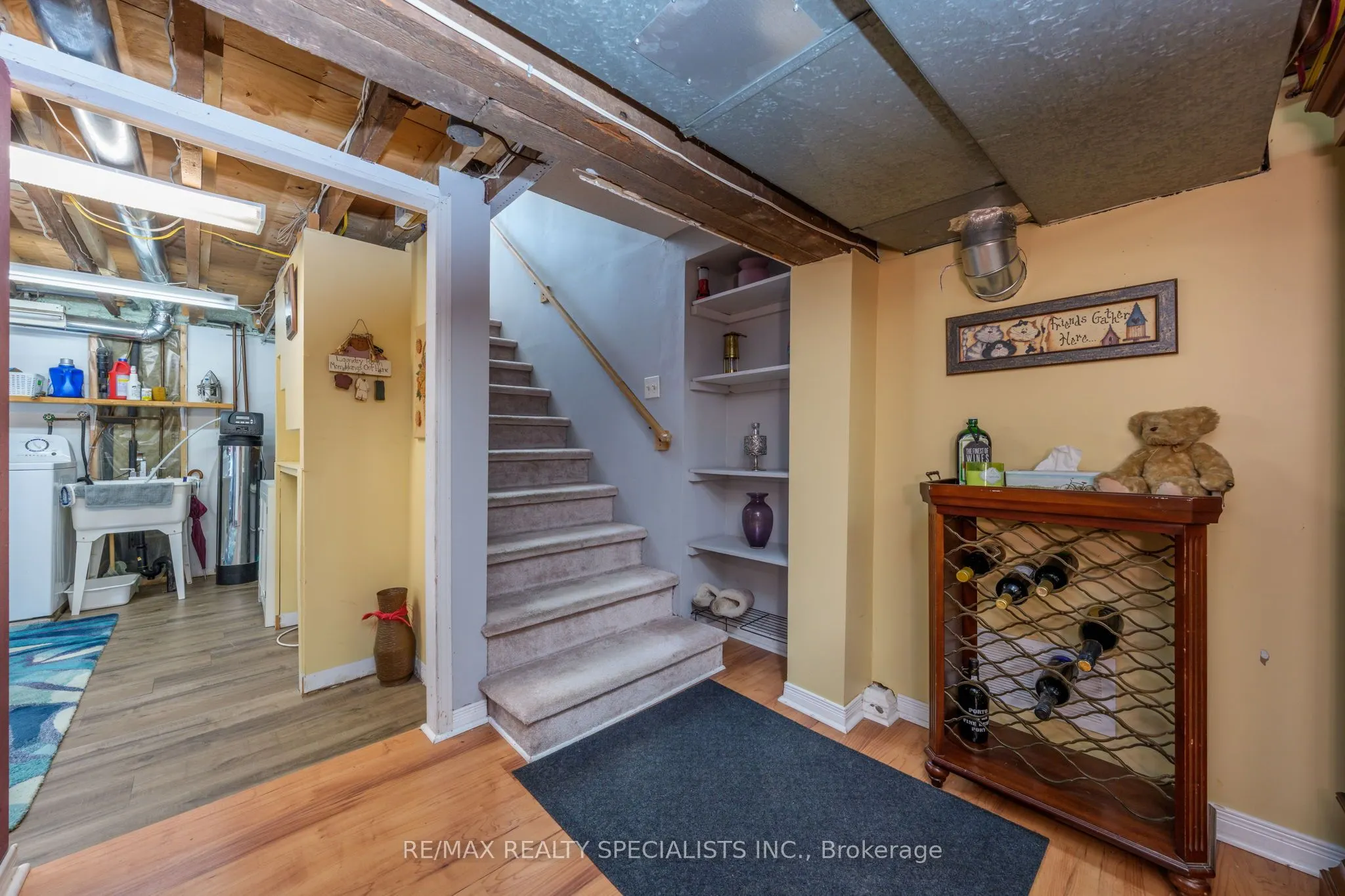 7 Arletta Street