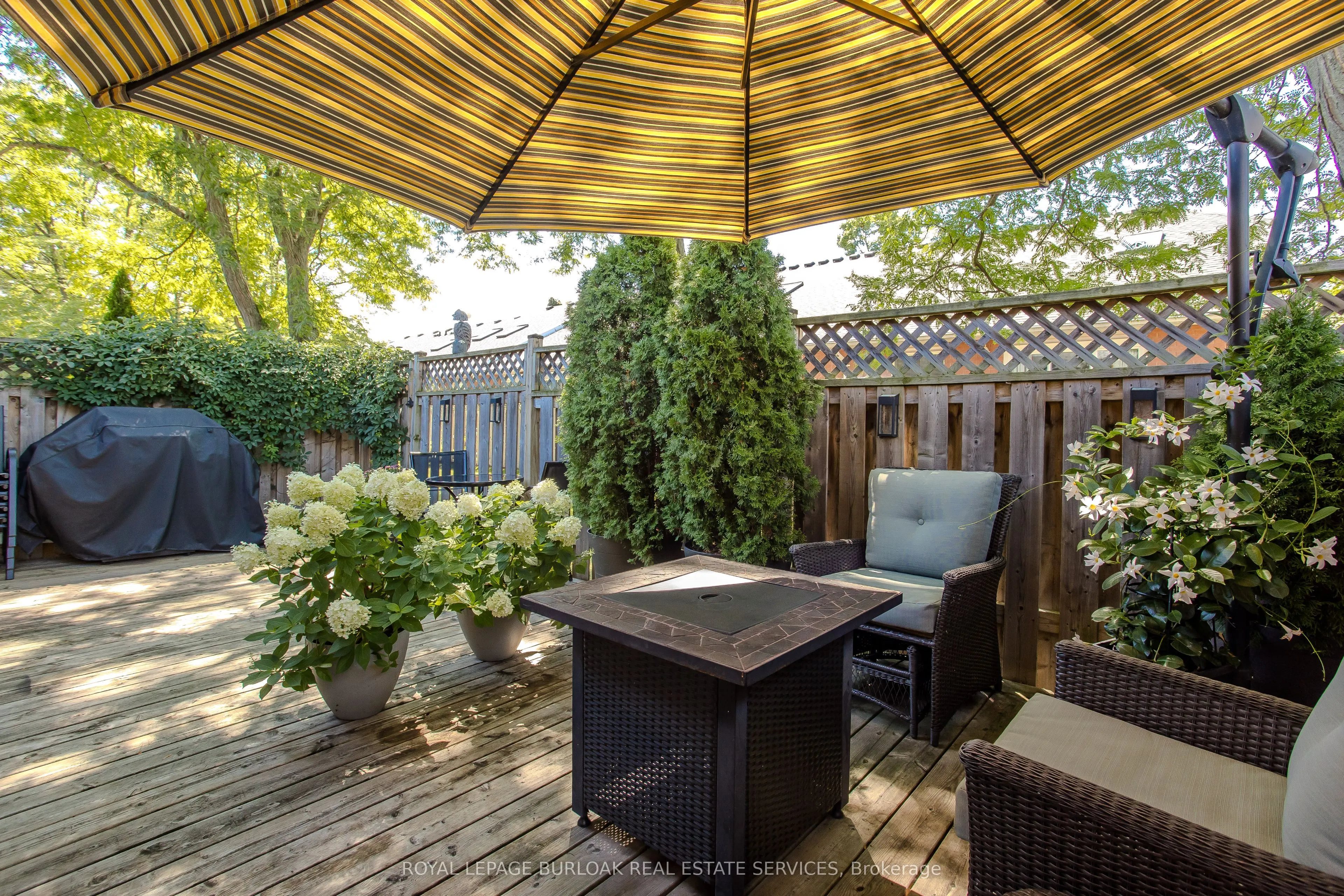 2350 New Street, #34