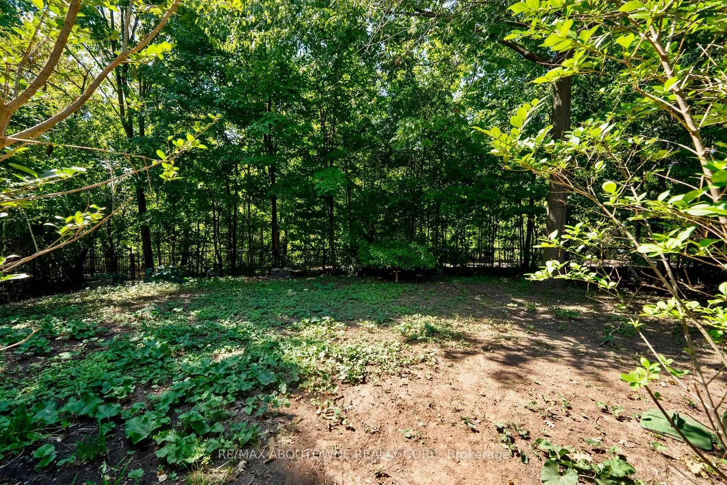 11 Morrison Creek Crescent
