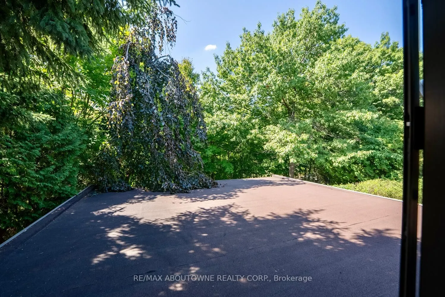 11 Morrison Creek Crescent